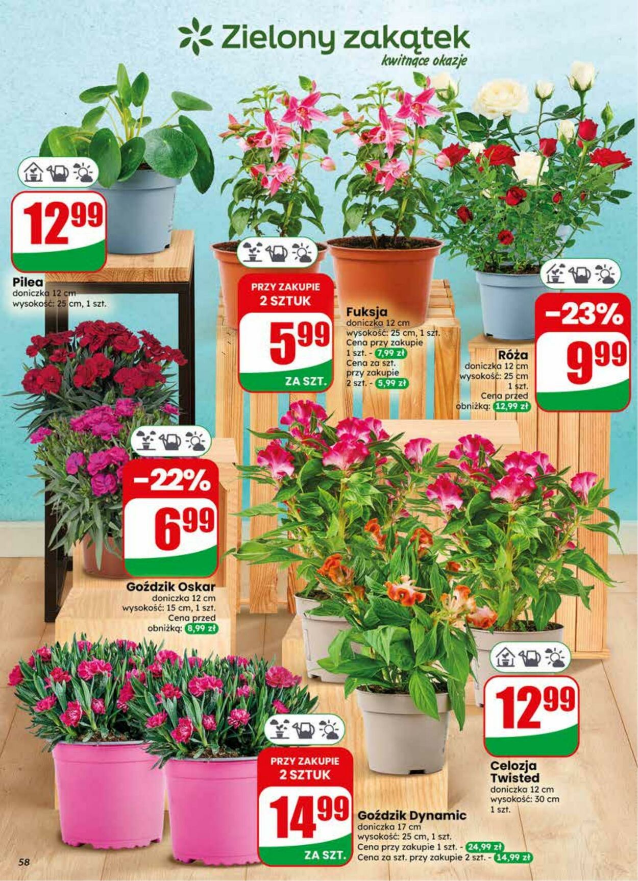 Gazetka DINO 27.05.2026 - 02.06.2026