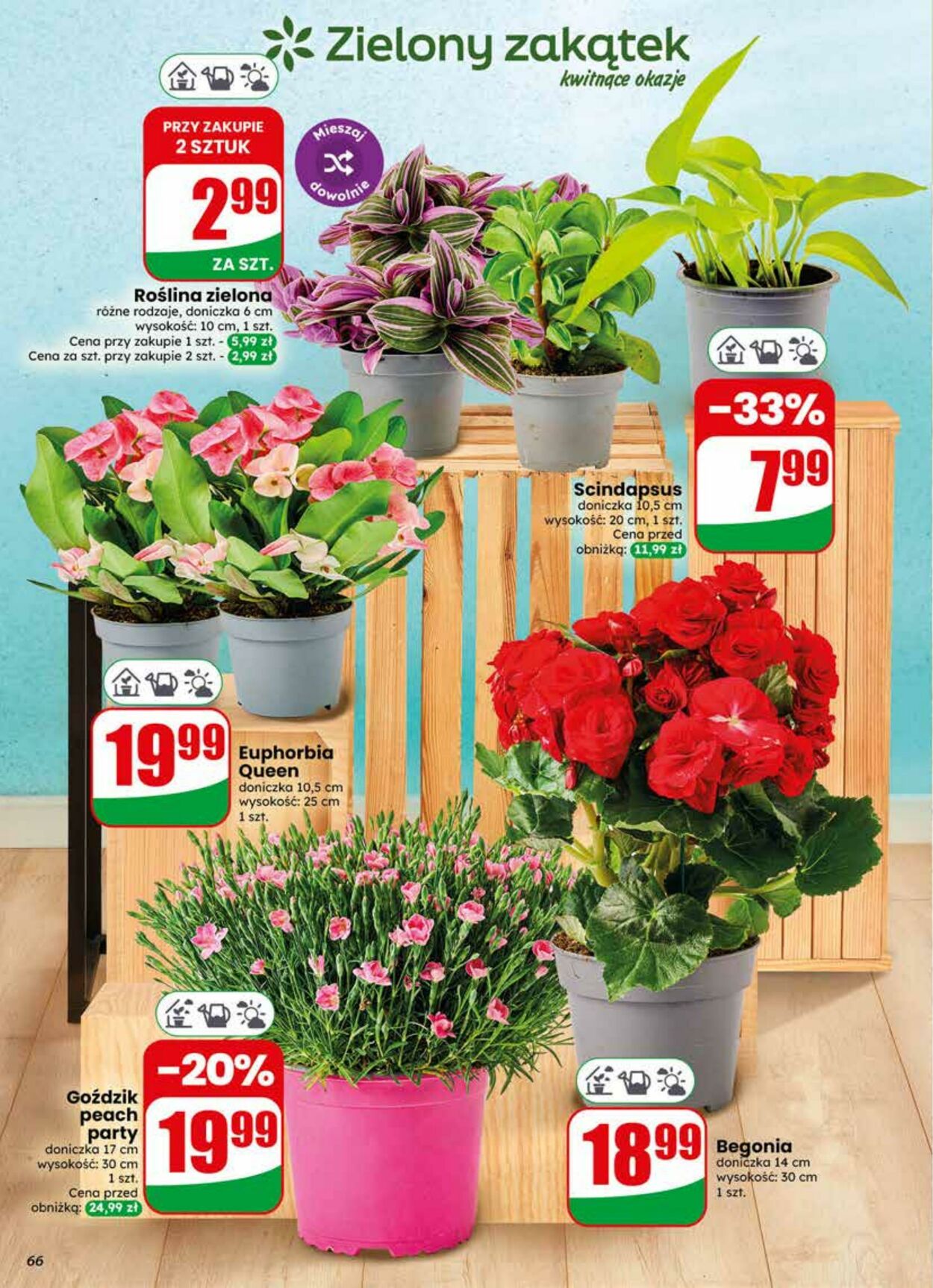 Gazetka DINO 10.06.2026 - 16.06.2026