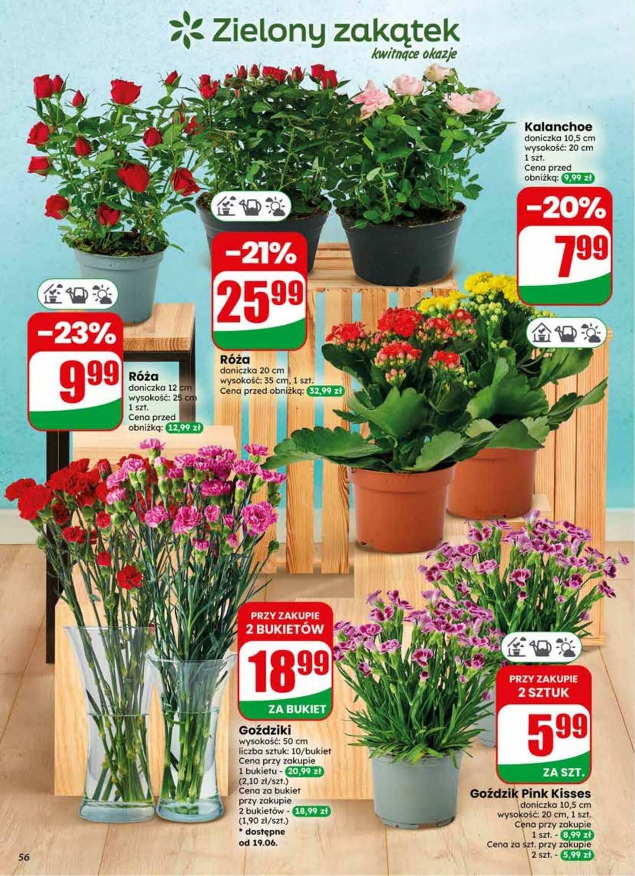 Gazetka DINO 17.06.2026 - 23.06.2026