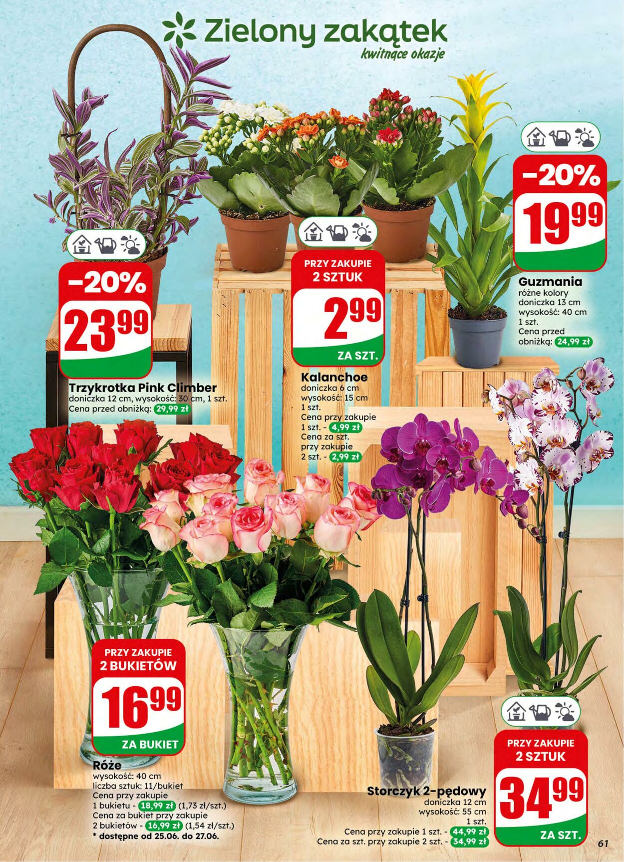 Gazetka DINO 24.06.2026 - 30.06.2026