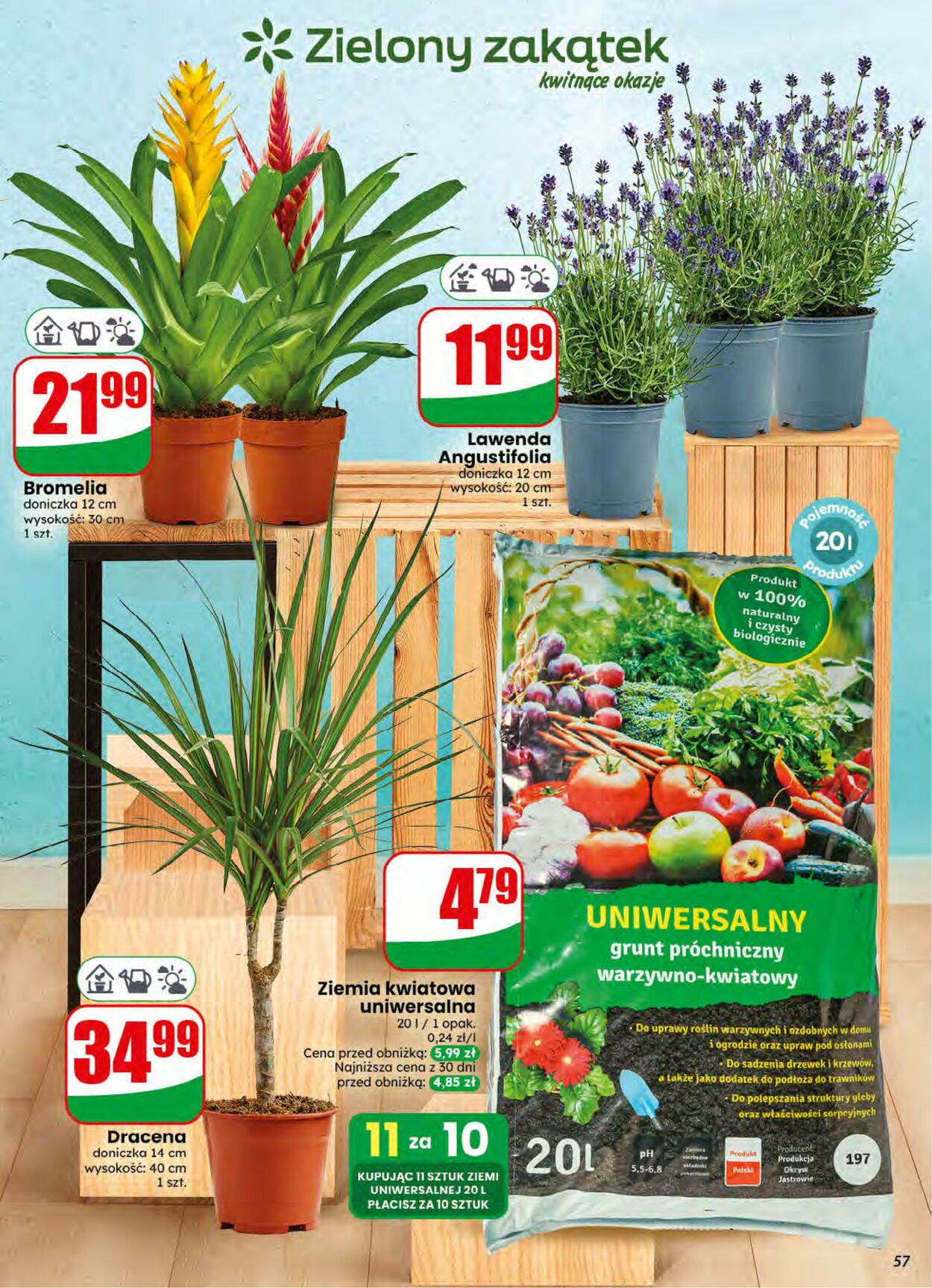 Gazetka DINO 08.07.2026 - 14.07.2026