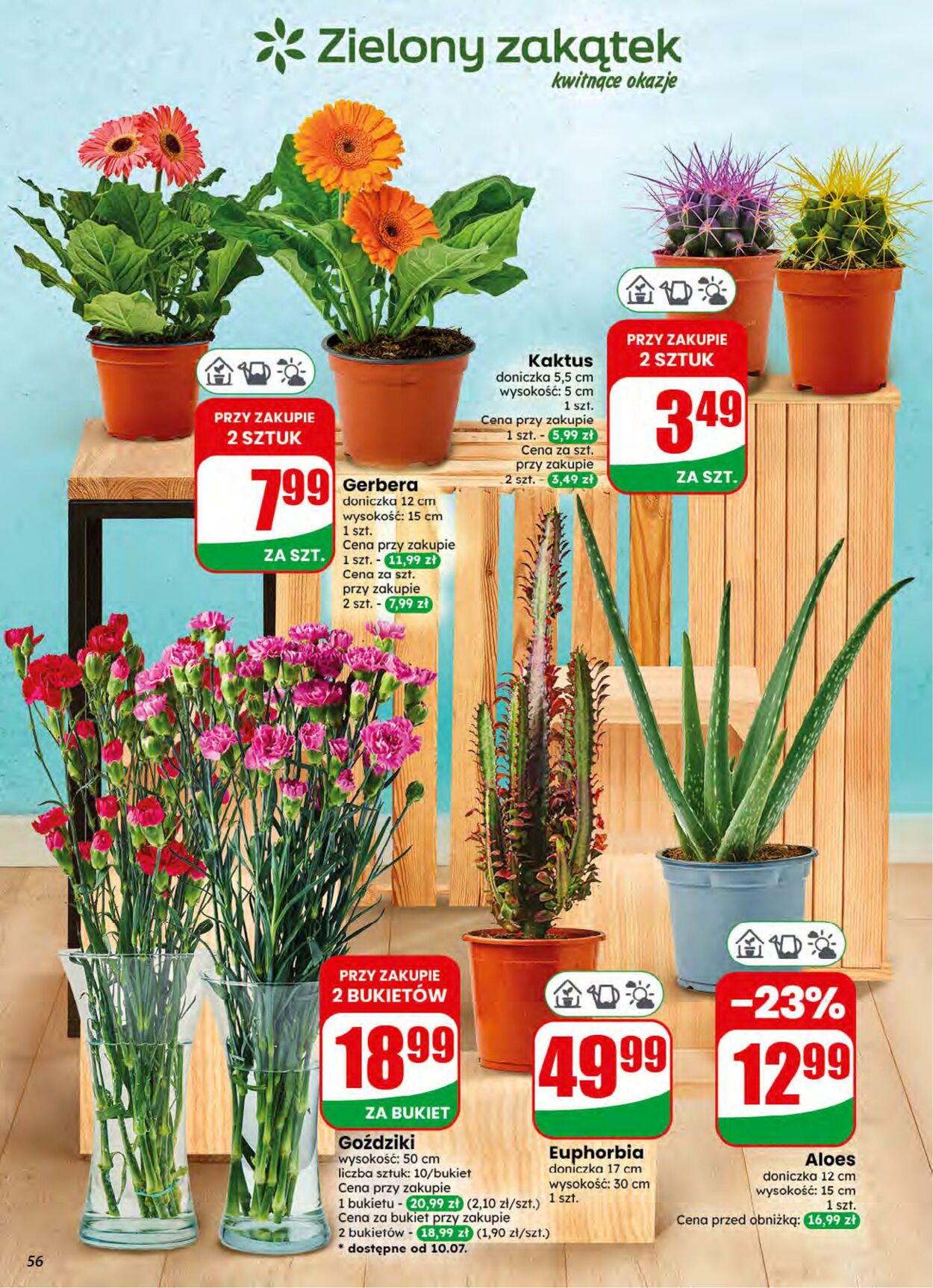 Gazetka DINO 08.07.2026 - 14.07.2026