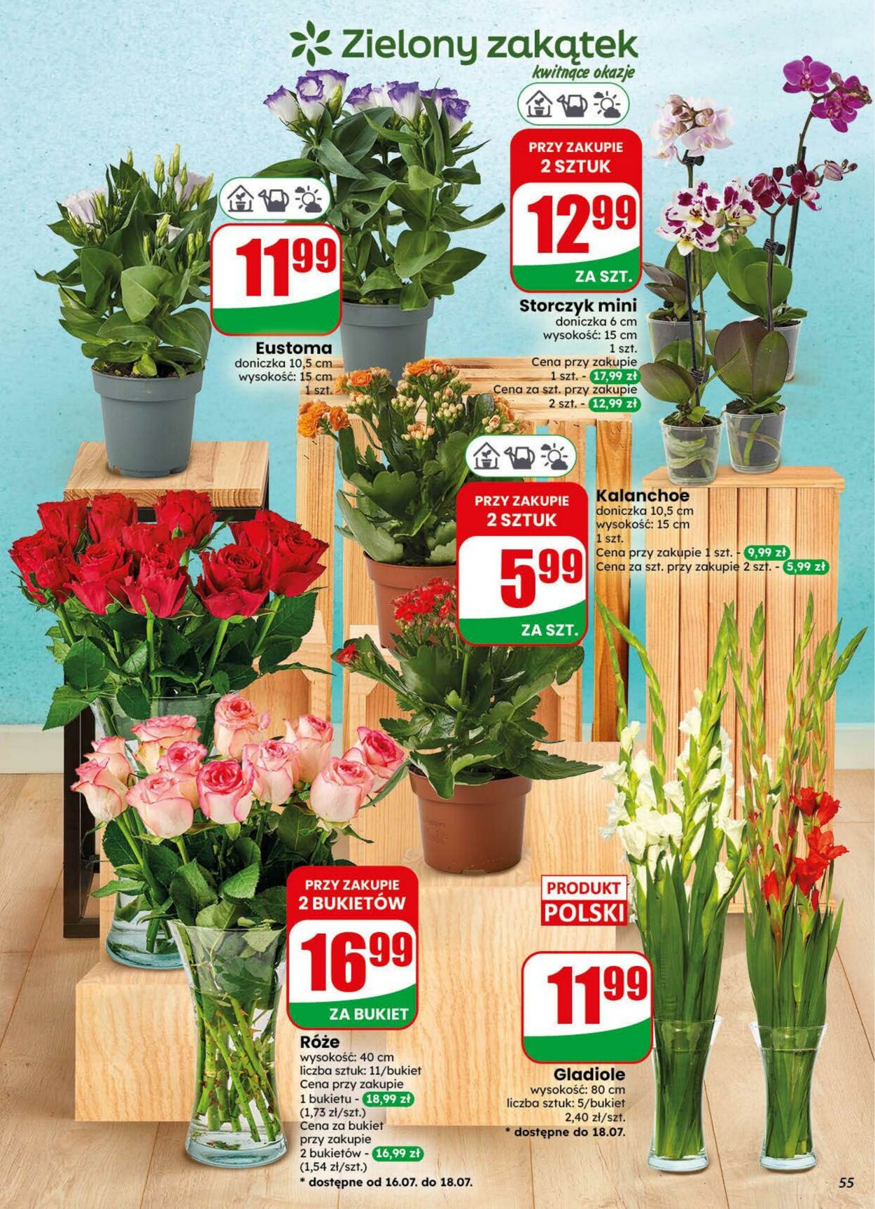 Gazetka DINO 15.07.2026 - 21.07.2026