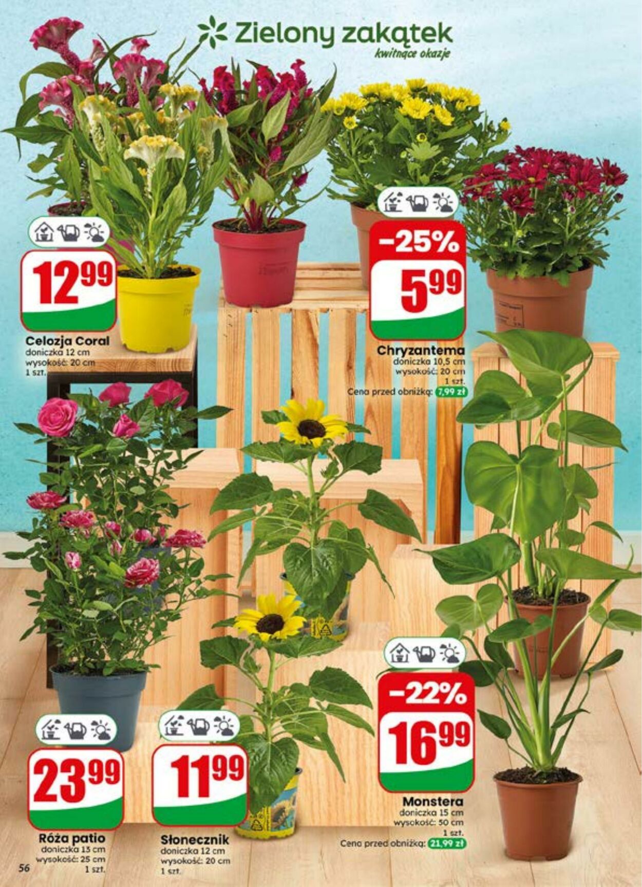 Gazetka DINO 15.07.2026 - 21.07.2026