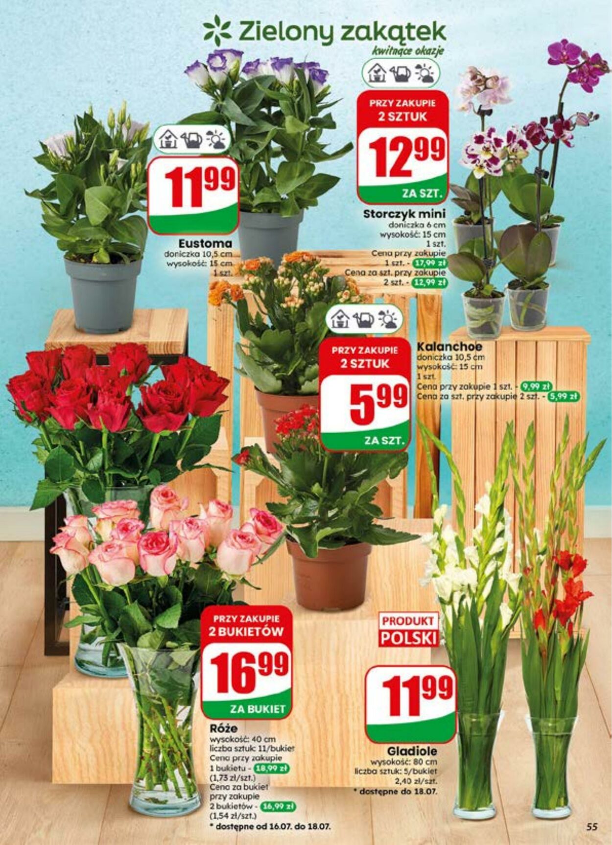 Gazetka DINO 15.07.2026 - 21.07.2026