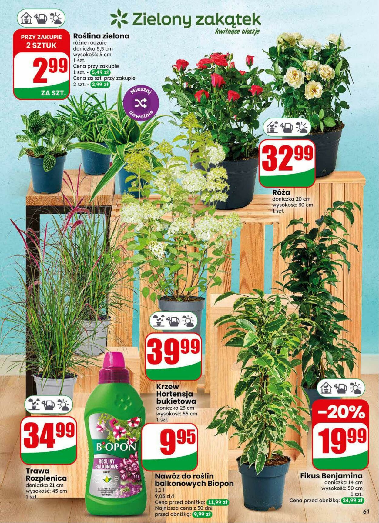 Gazetka DINO 22.07.2026 - 28.07.2026