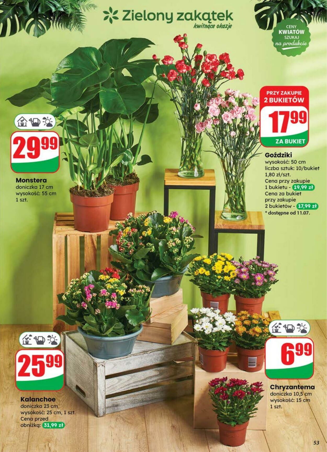 Gazetka DINO 09.07.2025 - 15.07.2025