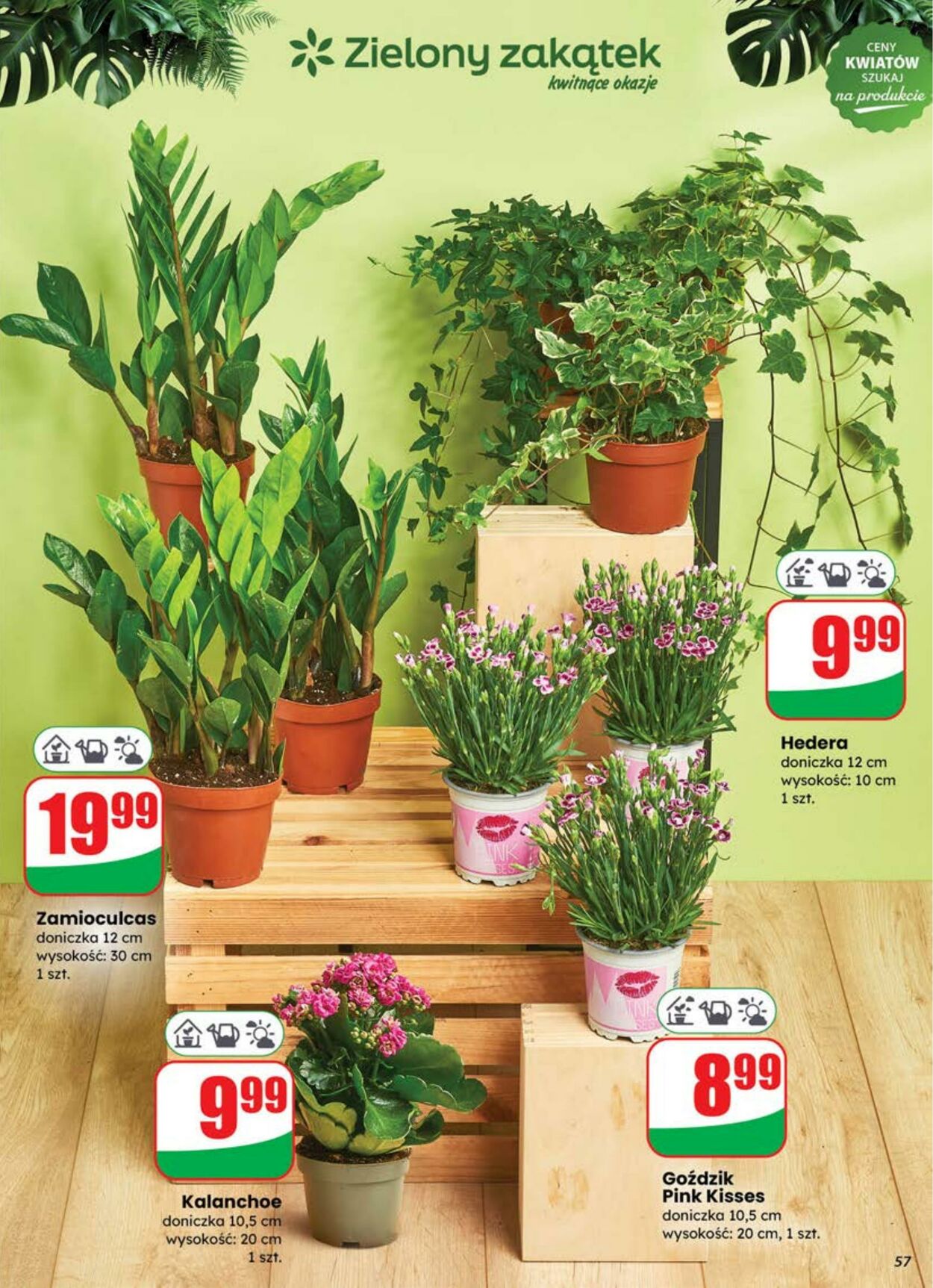 Gazetka DINO 02.07.2025 - 08.07.2025
