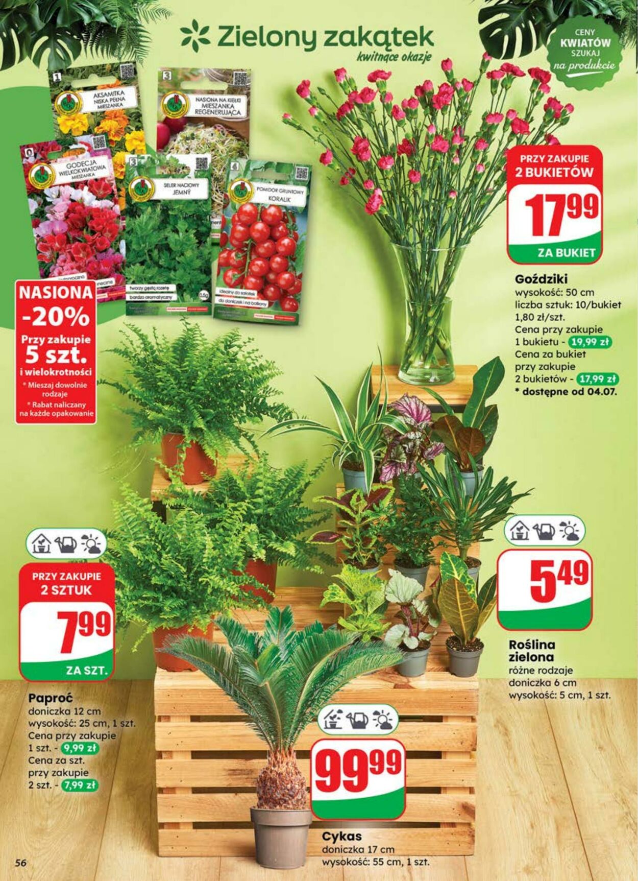 Gazetka DINO 02.07.2025 - 08.07.2025