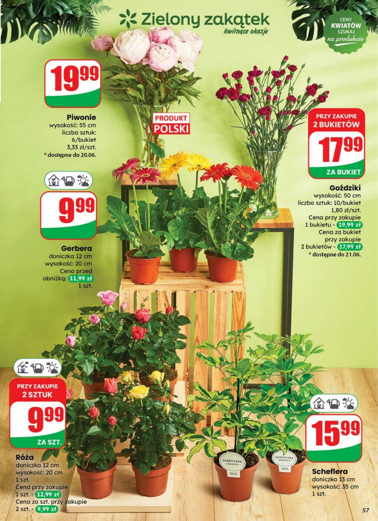 Gazetka DINO 18.06.2025 - 24.06.2025