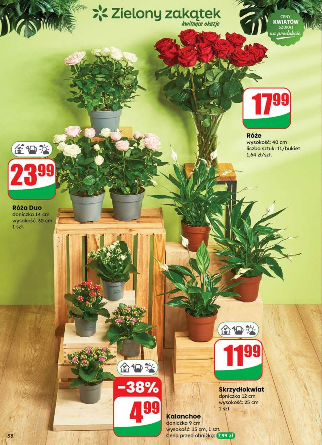 Gazetka DINO 18.06.2025 - 24.06.2025