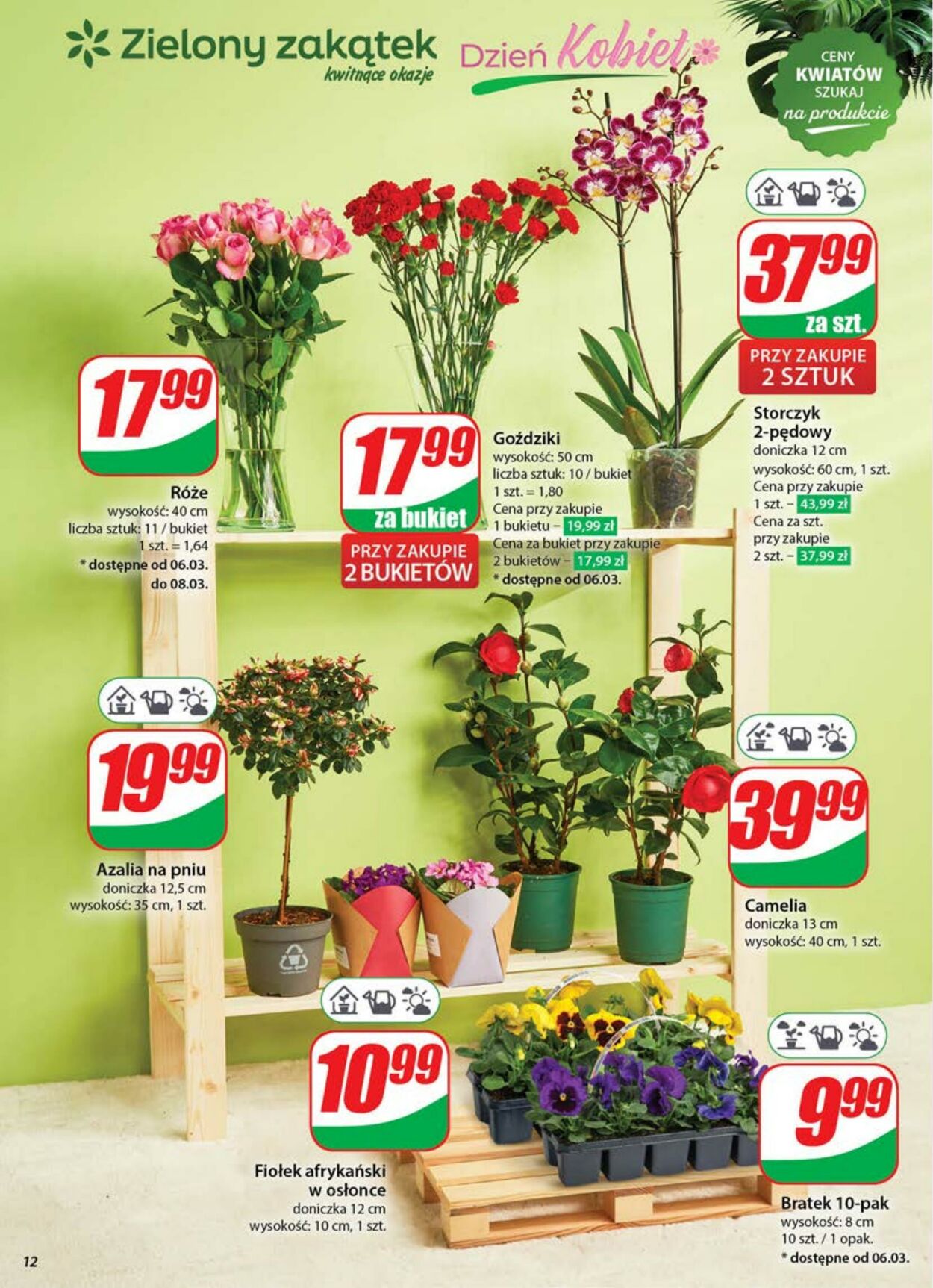 Gazetka DINO 05.03.2025 - 11.03.2025