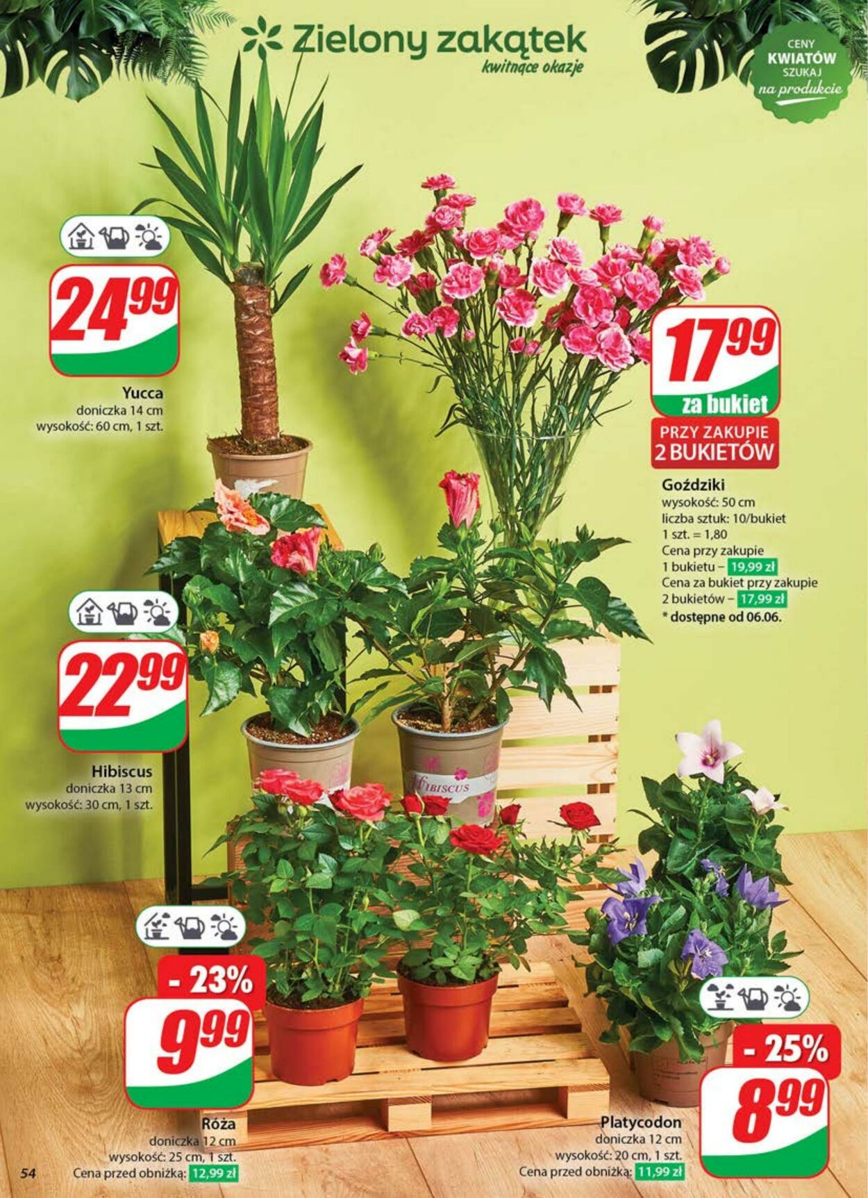 Gazetka DINO 04.06.2025 - 10.06.2025