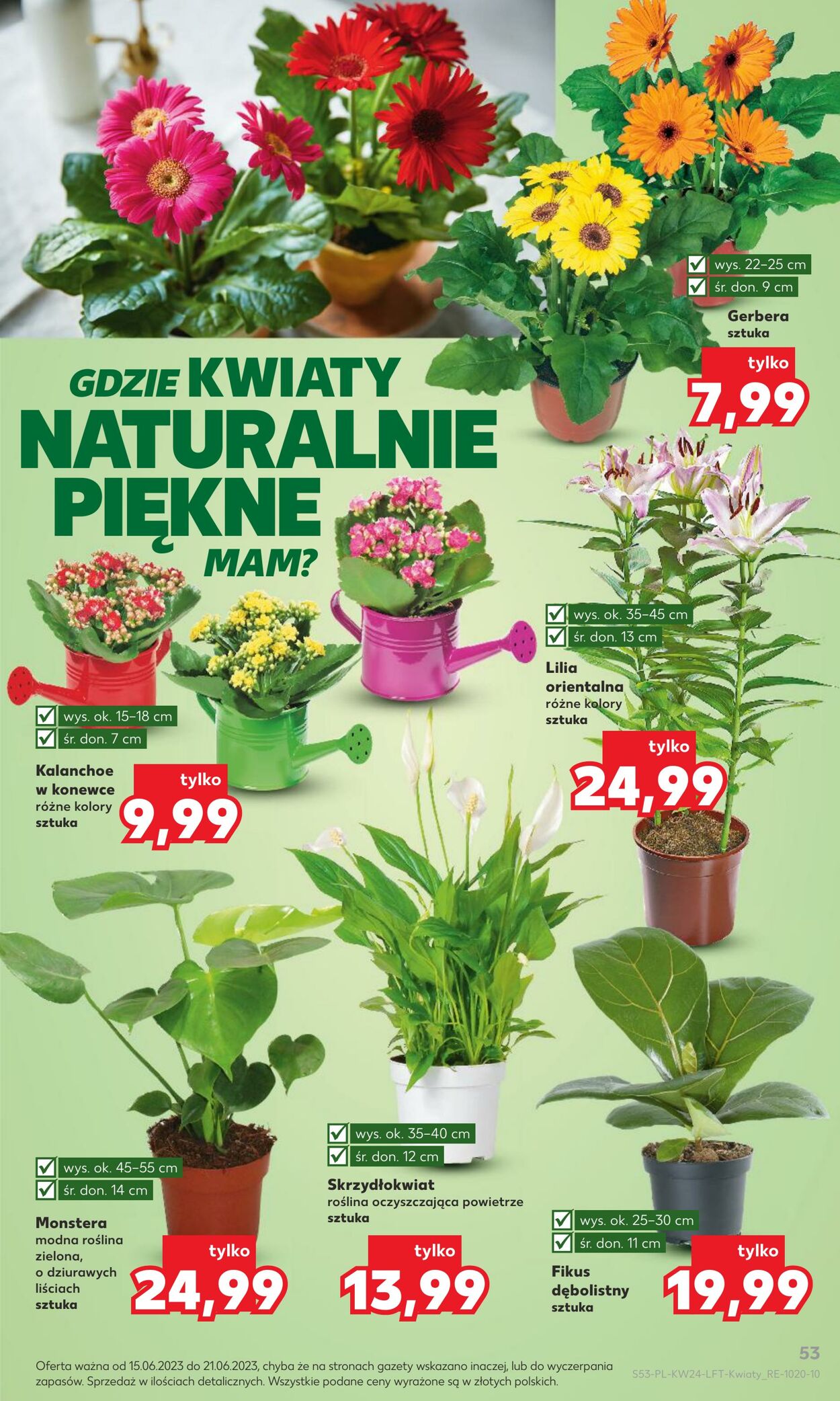 Gazetka Kaufland 15.06.2023 - 21.06.2023