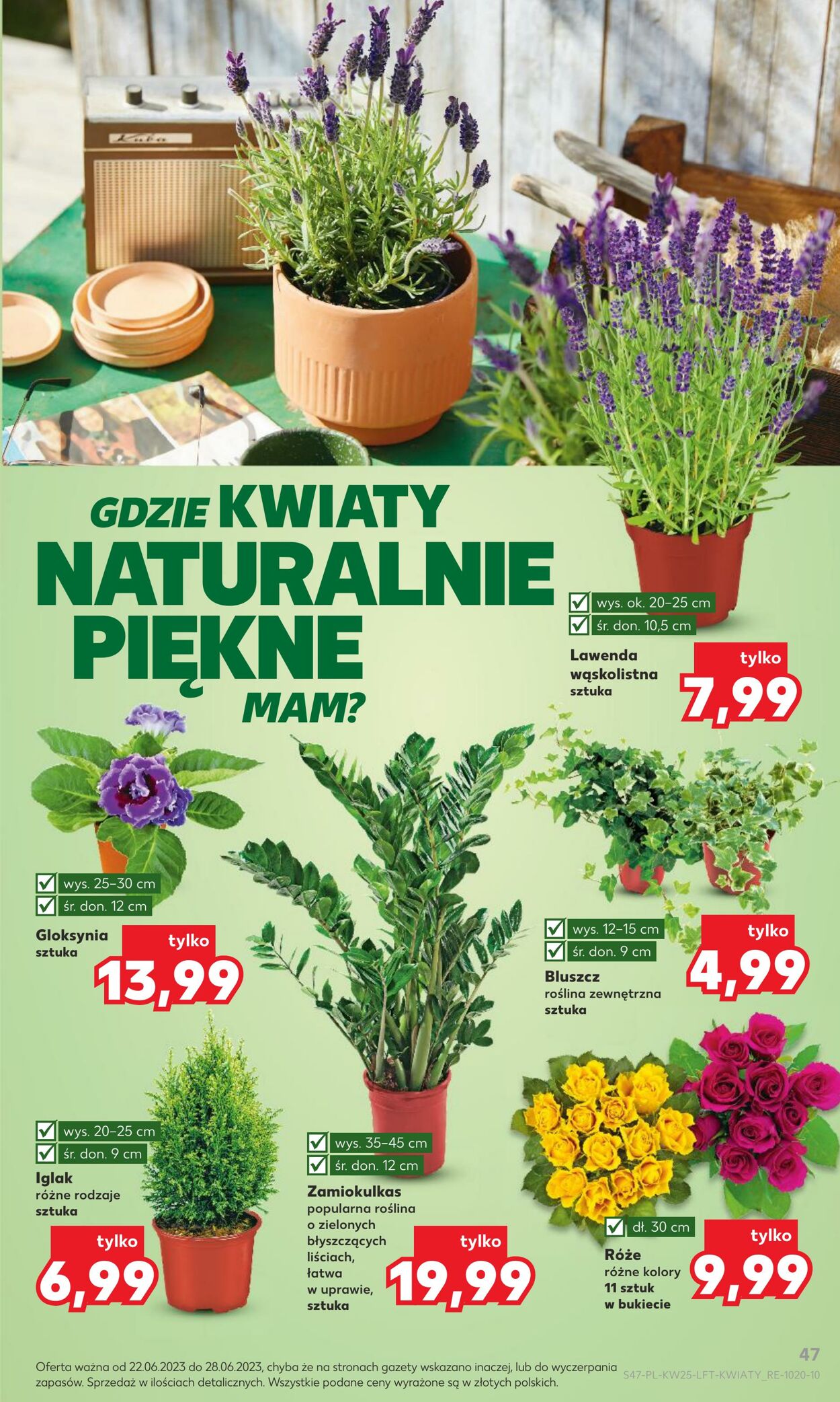 Gazetka Kaufland 22.06.2023 - 28.06.2023