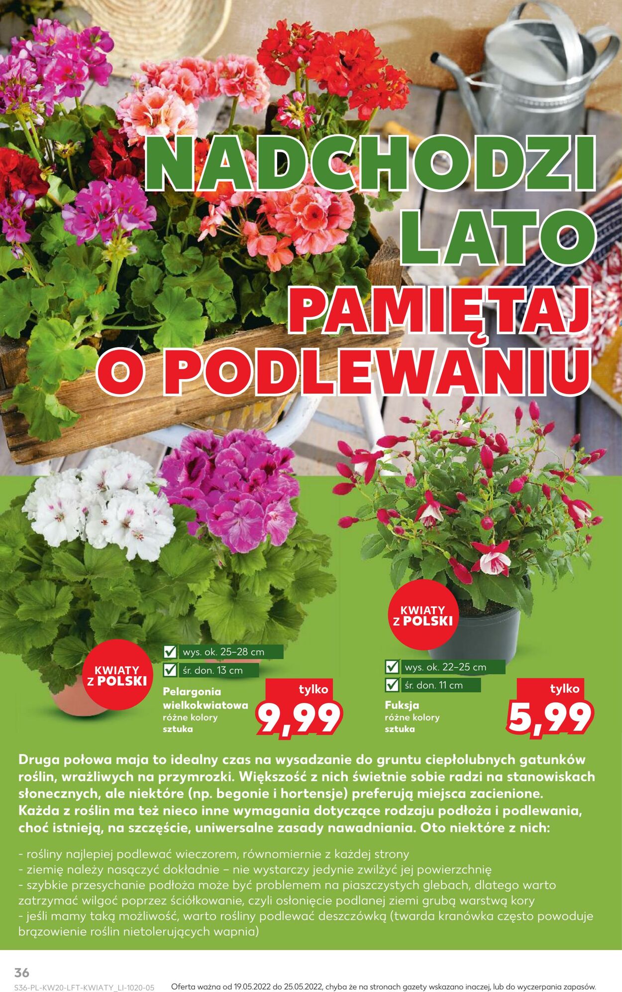 Gazetka Kaufland 19.05.2022 - 25.05.2022