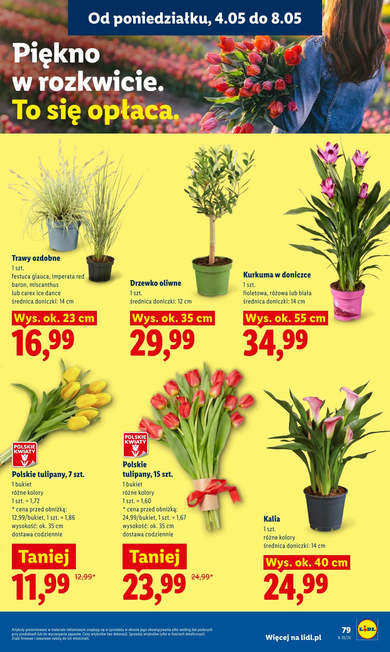 Gazetka Lidl 04.05.2026 - 06.05.2026