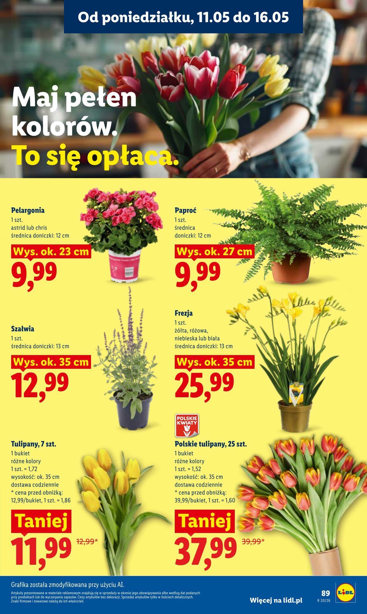 Gazetka Lidl 11.05.2026 - 13.05.2026