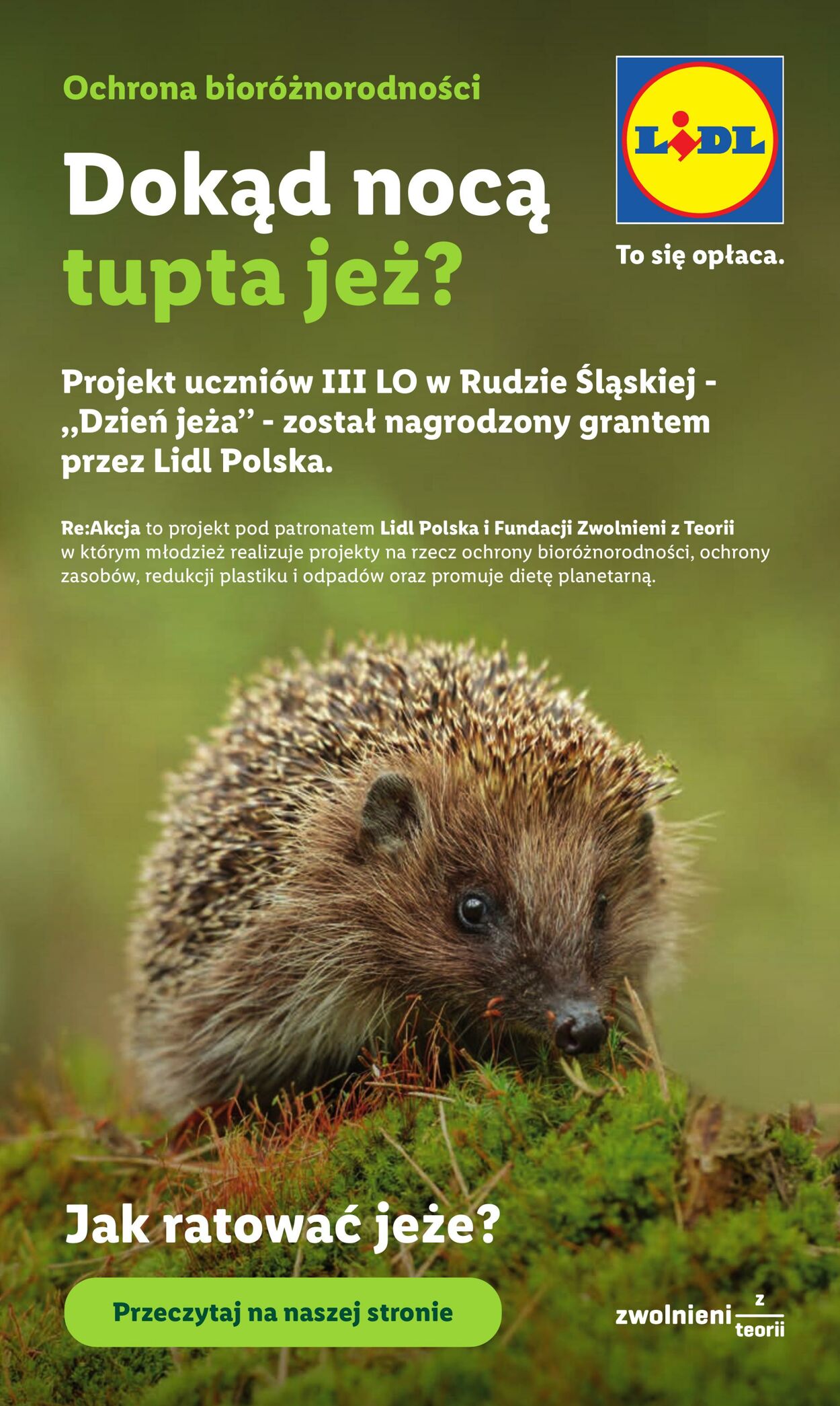 Gazetka Lidl 11.06.2026 - 13.06.2026