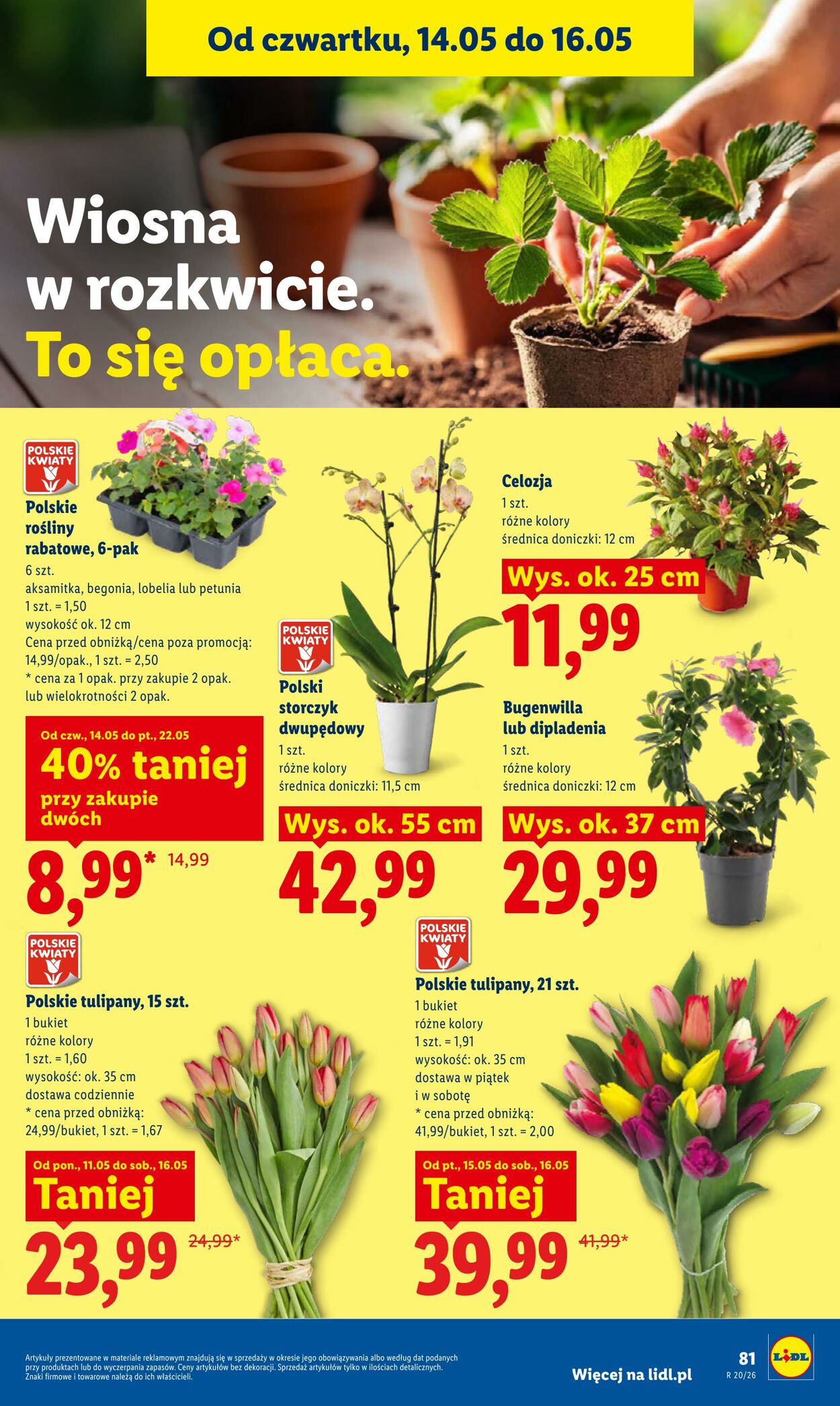 Gazetka Lidl 14.05.2026 - 16.05.2026