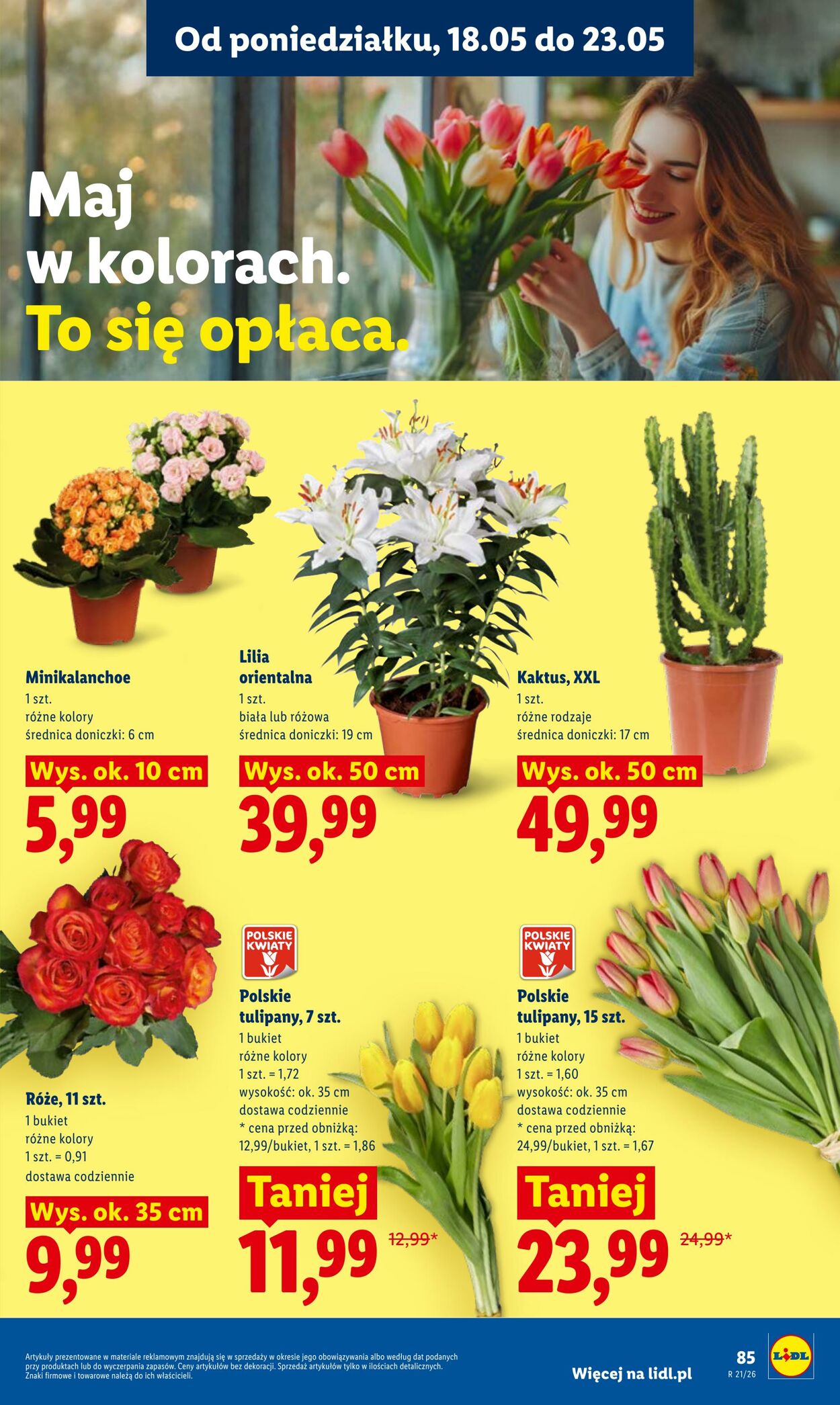 Gazetka Lidl 18.05.2026 - 20.05.2026