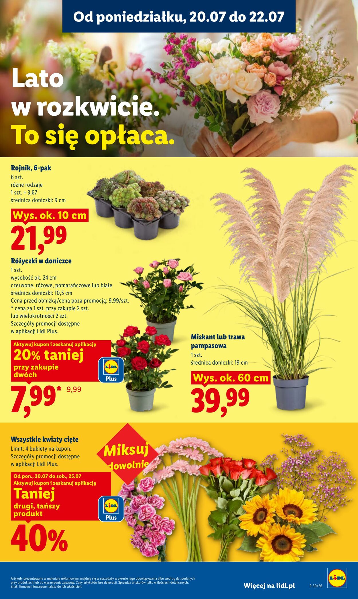 Gazetka Lidl 20.07.2026 - 22.07.2026