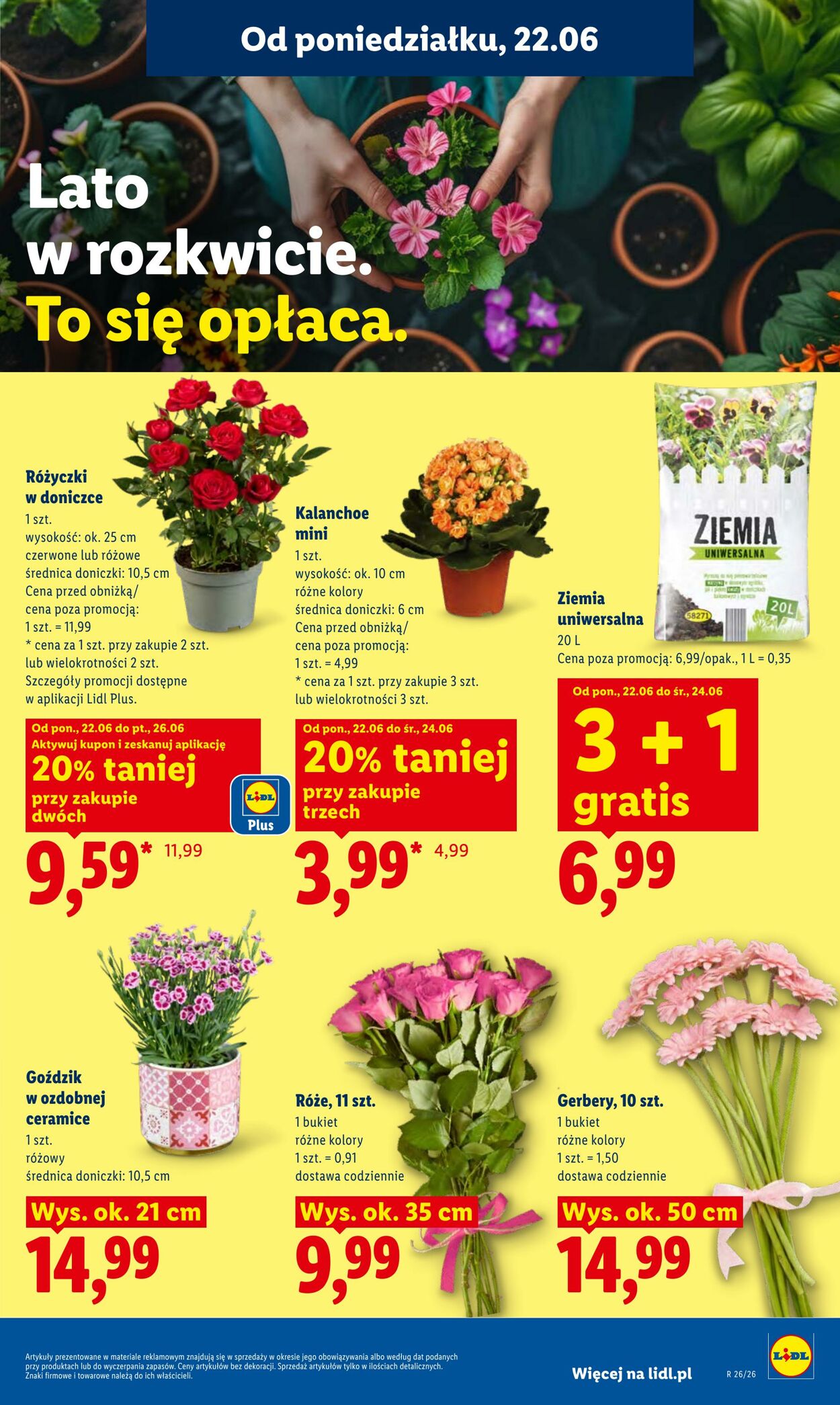 Gazetka Lidl 22.06.2026 - 24.06.2026
