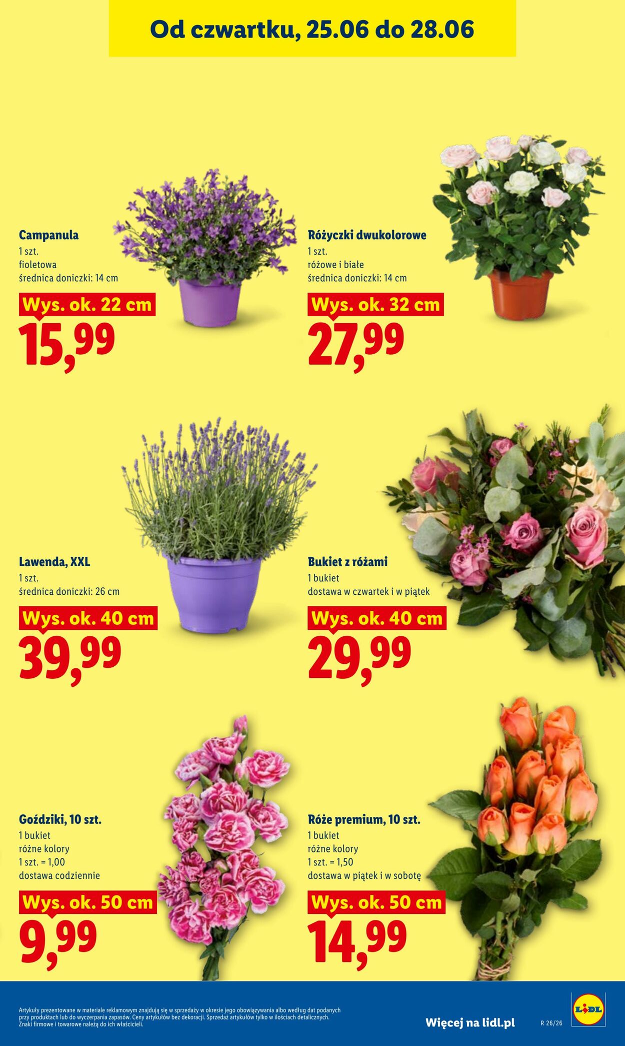 Gazetka Lidl 25.06.2026 - 28.06.2026