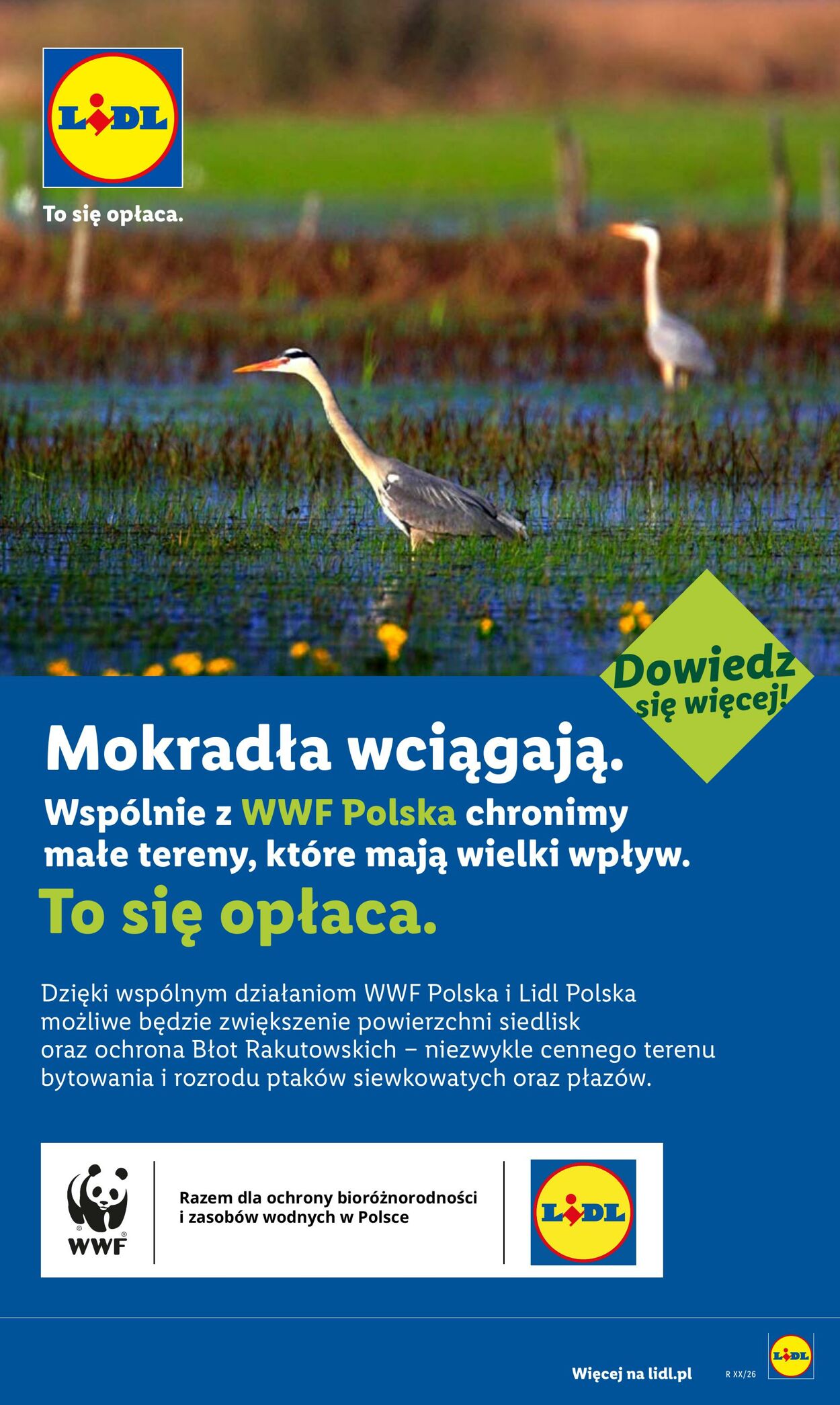 Gazetka Lidl 29.06.2026 - 01.07.2026