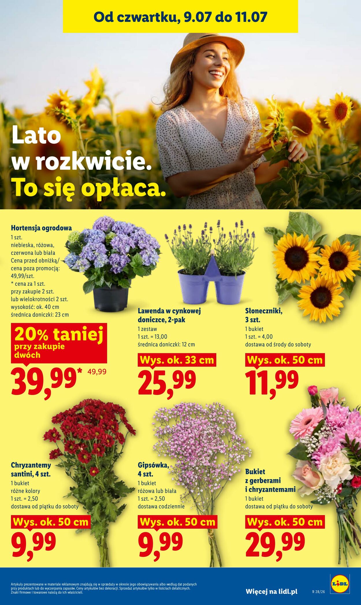 Gazetka Lidl 09.07.2026 - 11.07.2026