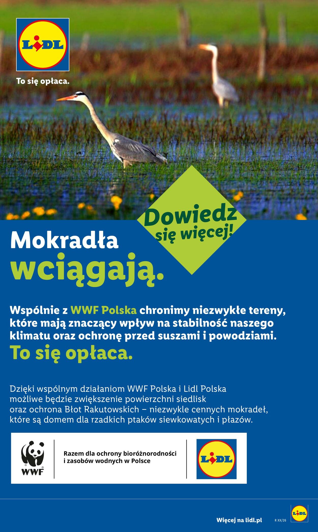 Gazetka Lidl 13.07.2026 - 18.07.2026