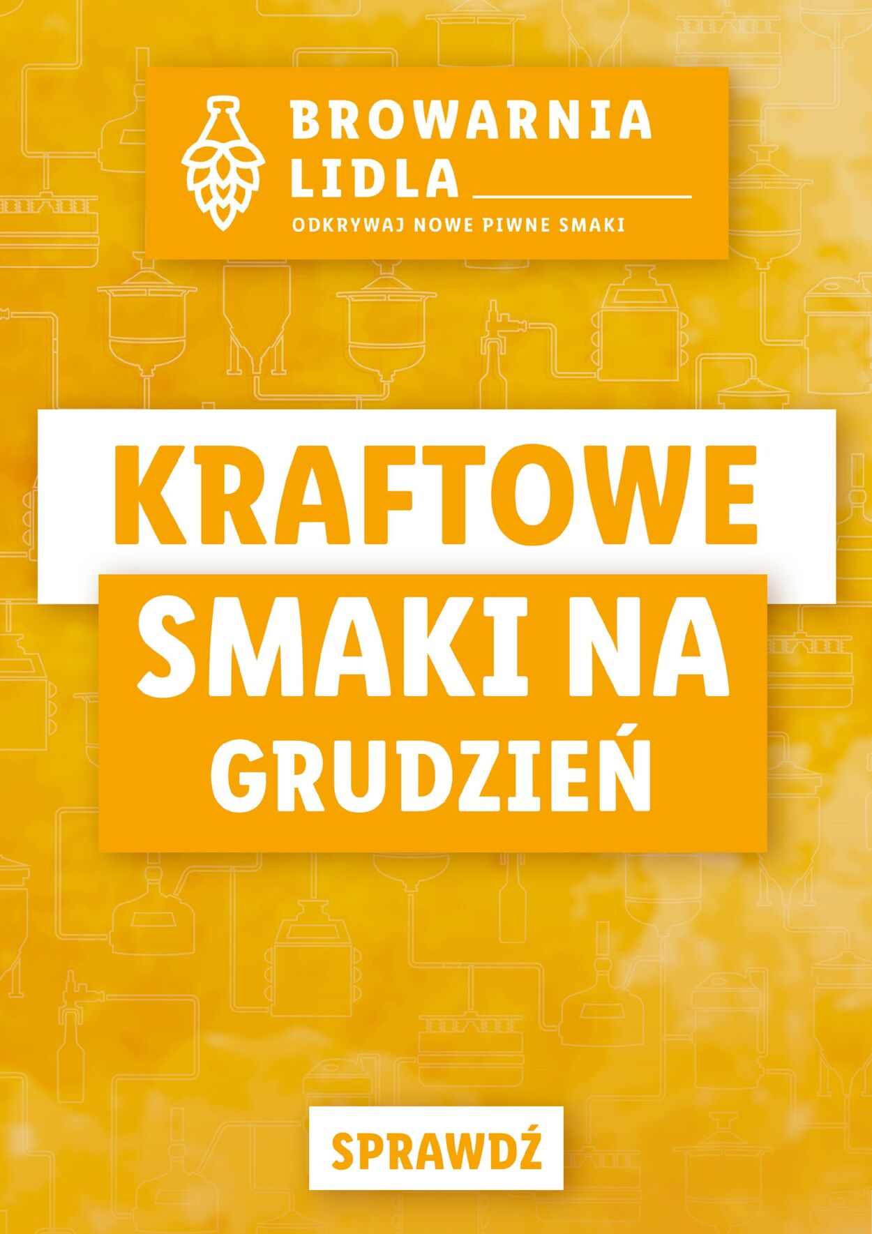 Gazetka Lidl 02.12.2024 - 31.12.2024