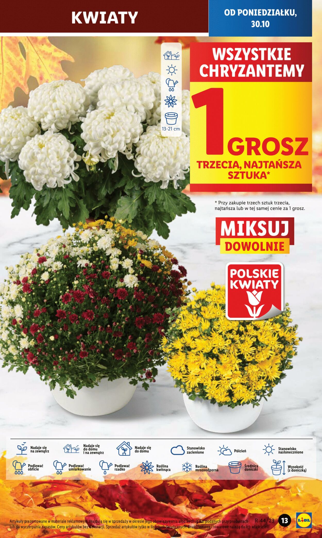 Gazetka Lidl 30.10.2023 - 31.10.2023