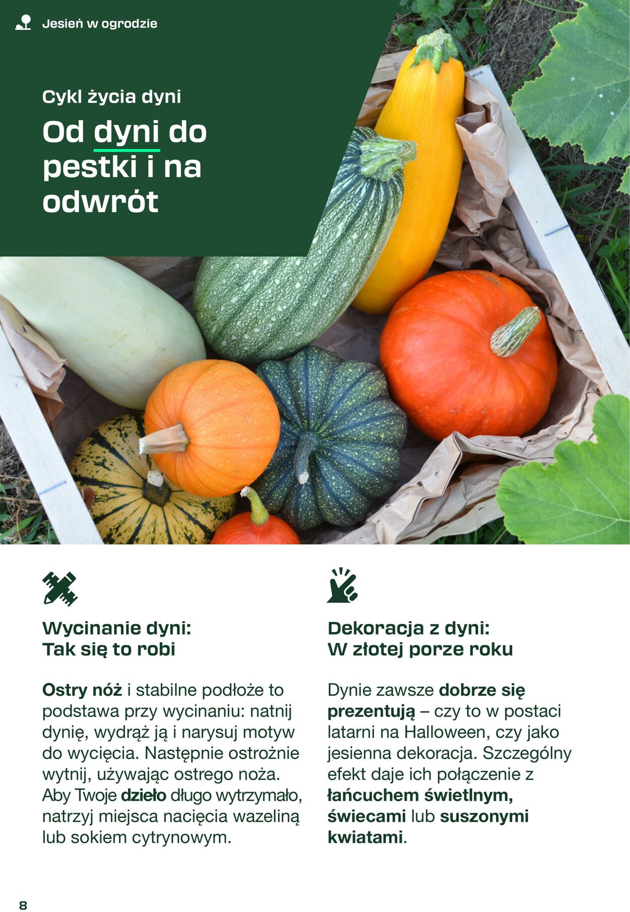 Gazetka Lidl 31.08.2025 - 11.10.2025