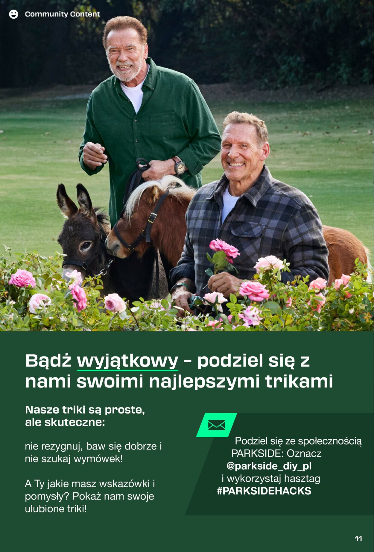 Gazetka Lidl 31.08.2025 - 11.10.2025