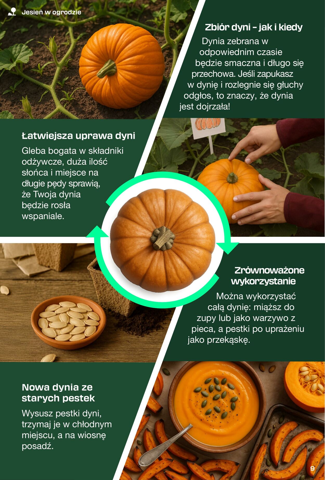 Gazetka Lidl 31.08.2025 - 11.10.2025