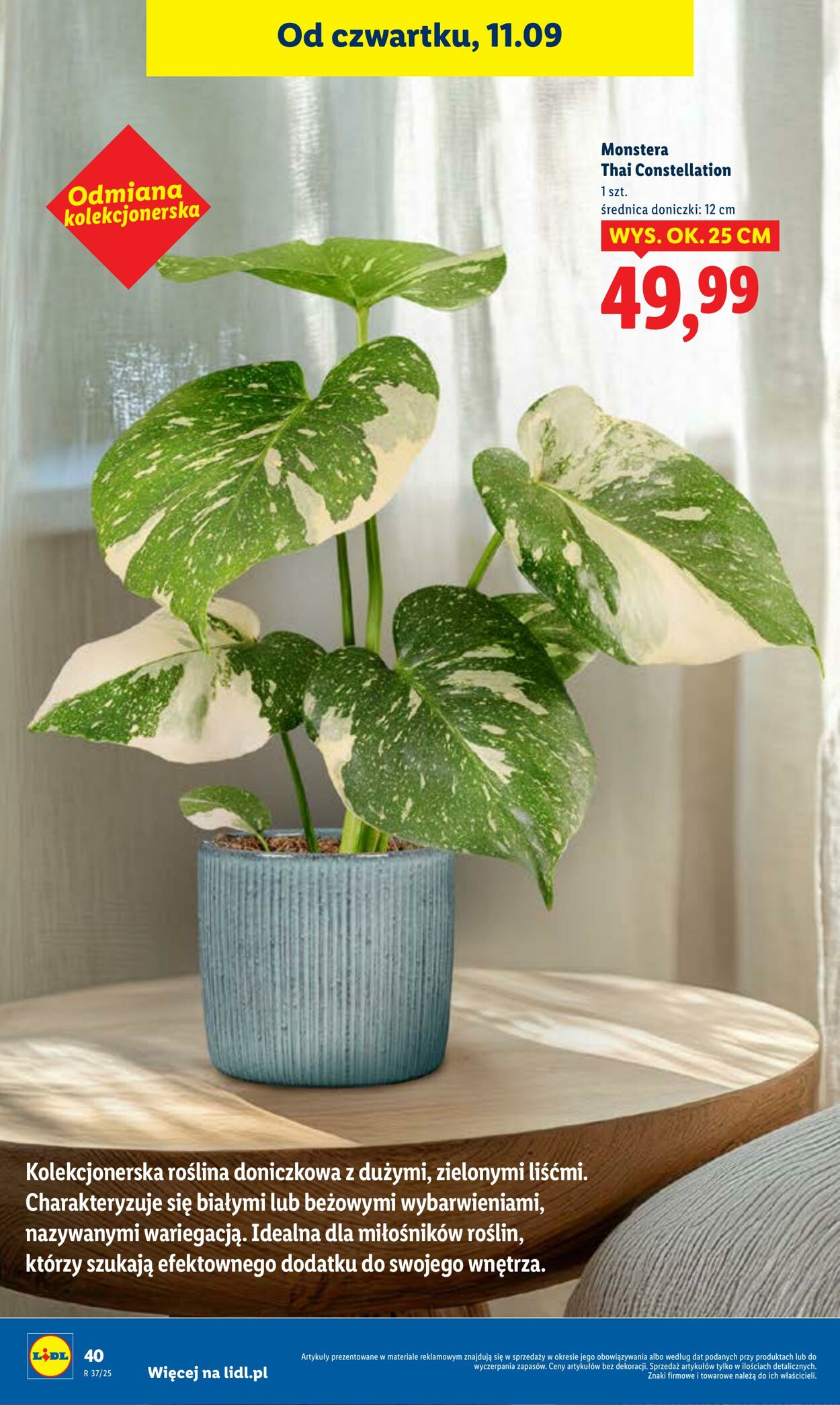 Gazetka Lidl 11.09.2025 - 13.09.2025