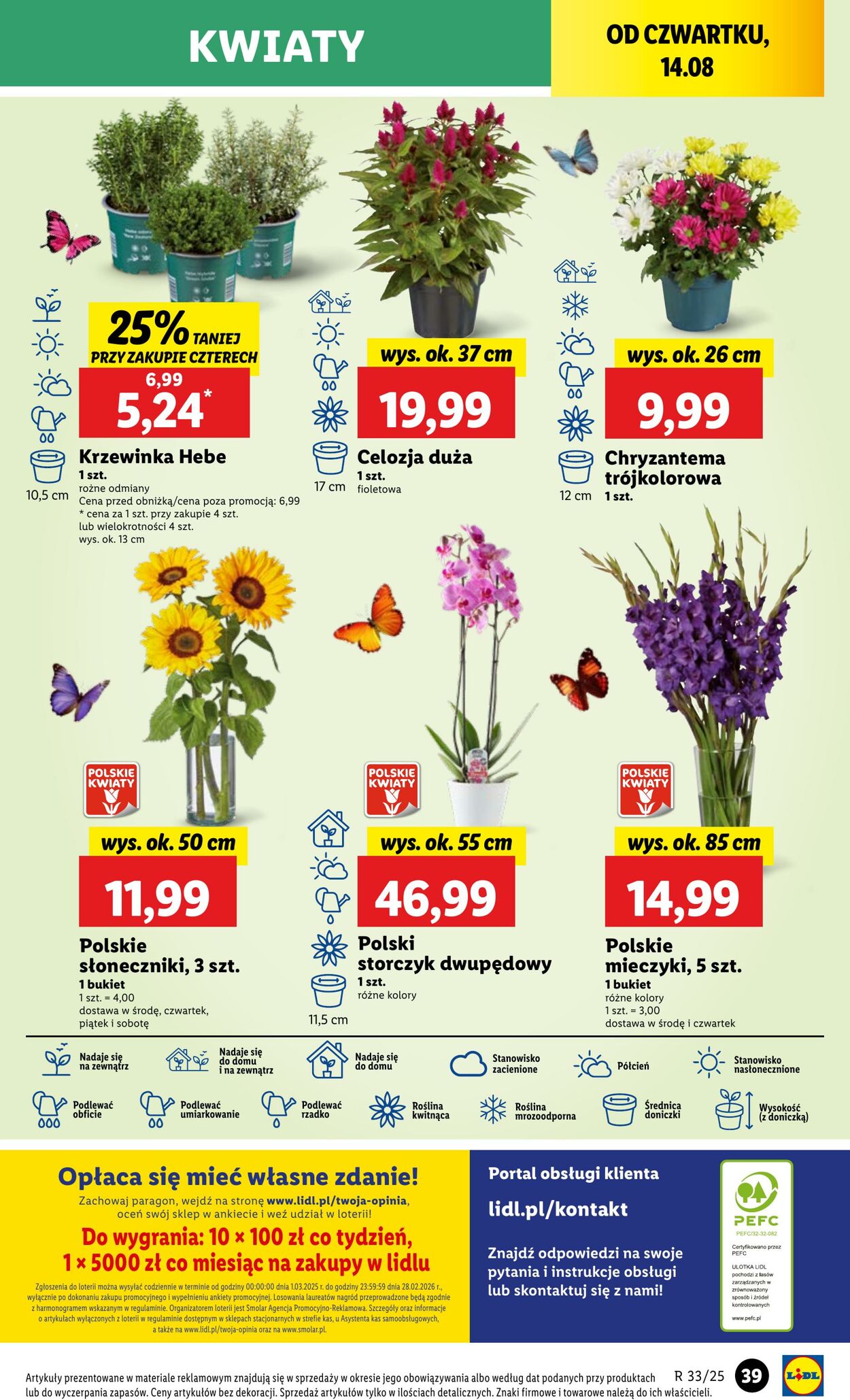 Gazetka Lidl 13.08.2025 - 16.08.2025