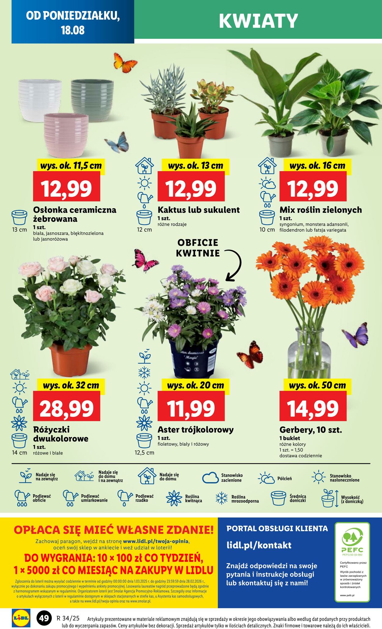 Gazetka Lidl 18.08.2025 - 20.08.2025