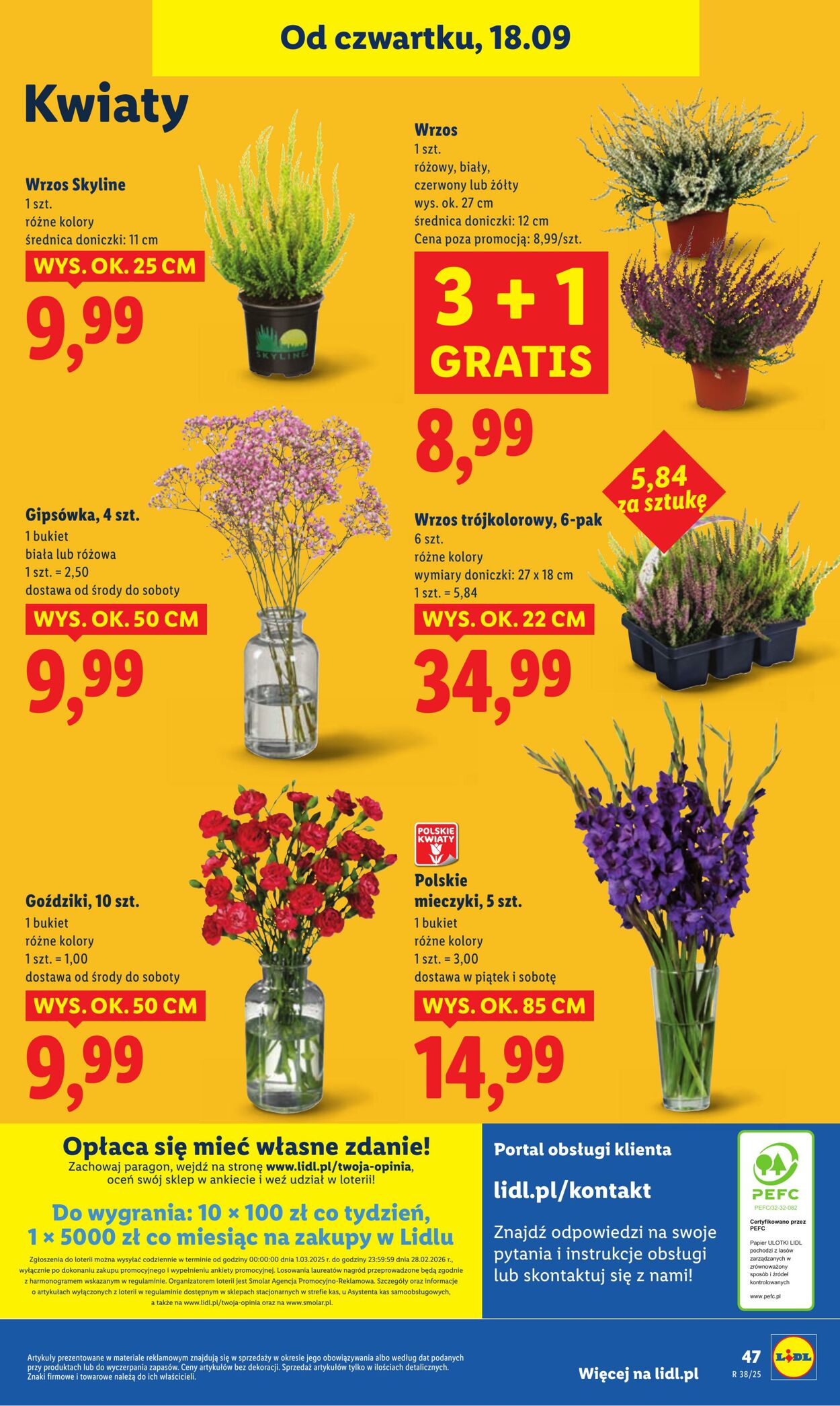 Gazetka Lidl 18.09.2025 - 20.09.2025