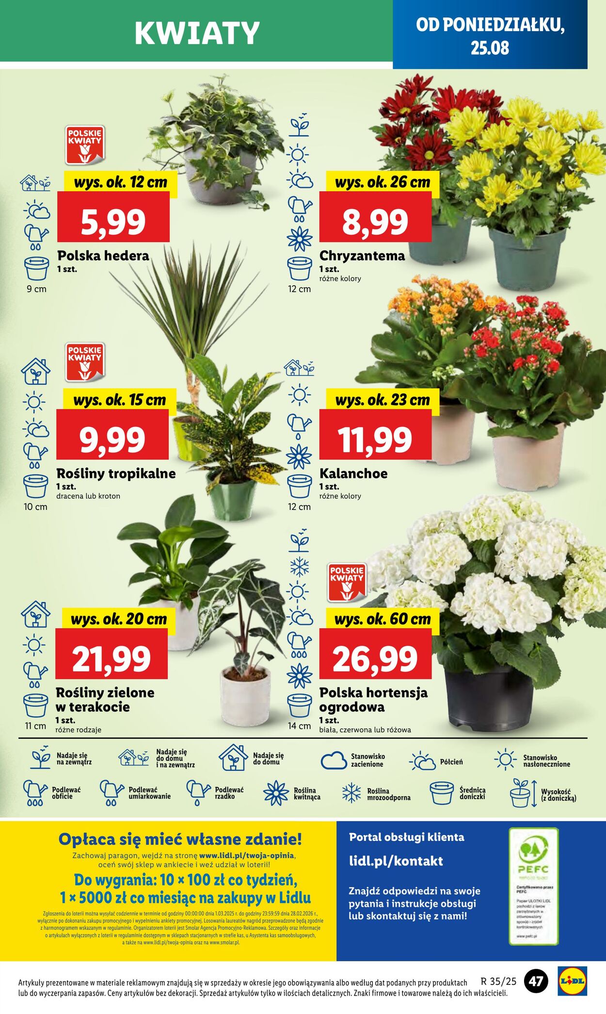 Gazetka Lidl 25.08.2025 - 27.08.2025