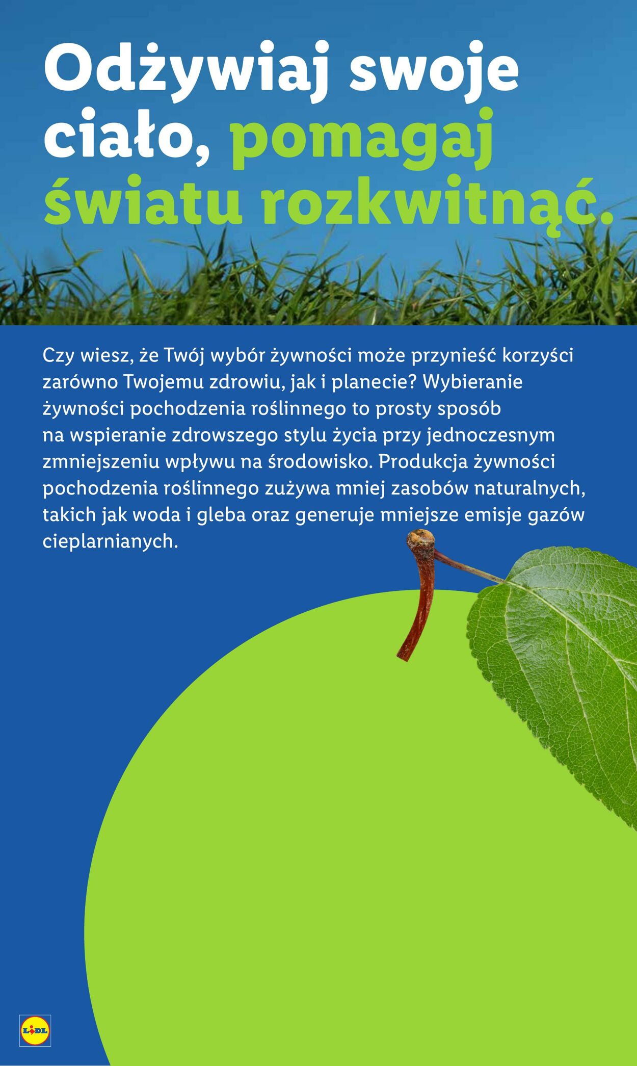 Gazetka Lidl 25.08.2025 - 27.08.2025
