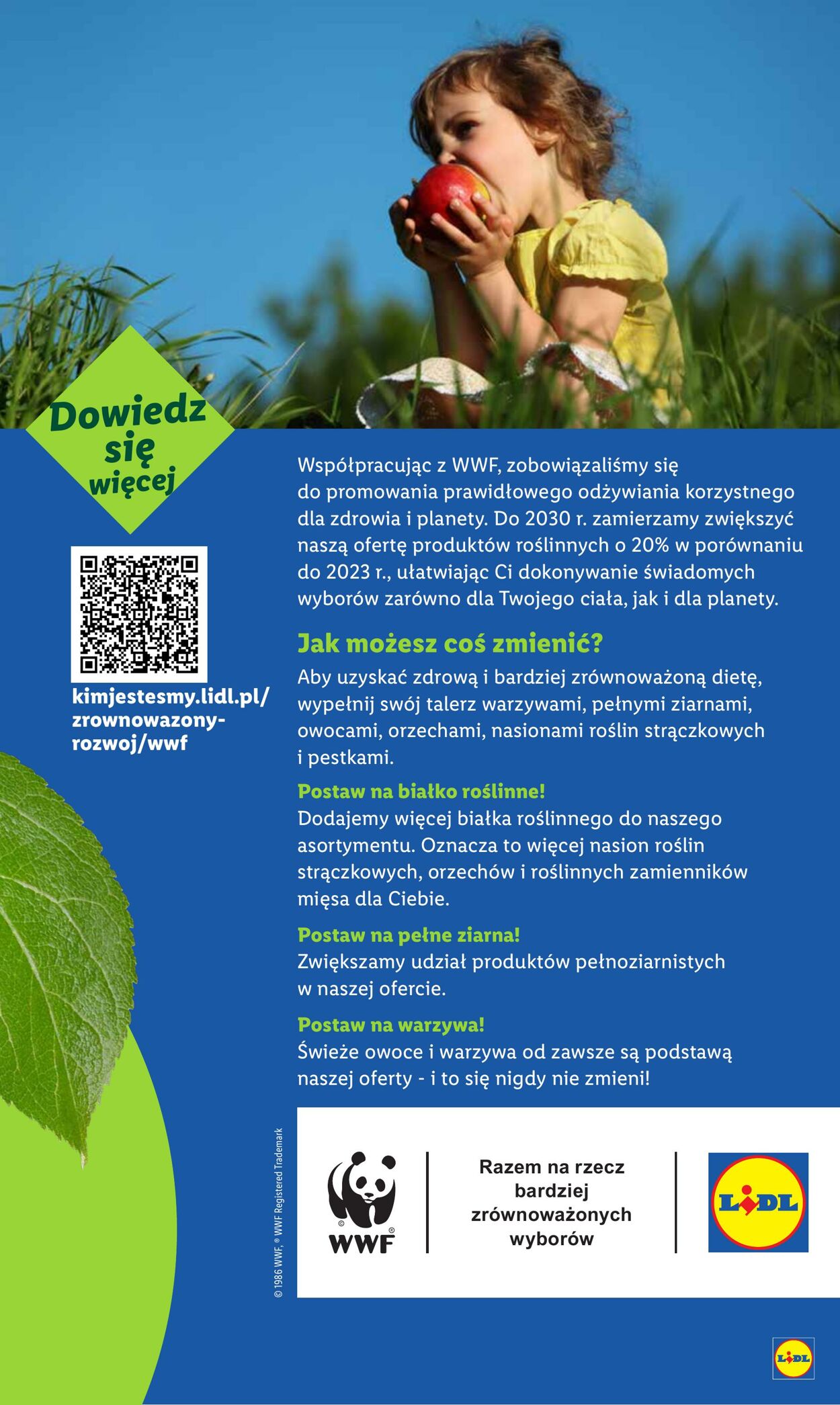 Gazetka Lidl 28.08.2025 - 31.08.2025