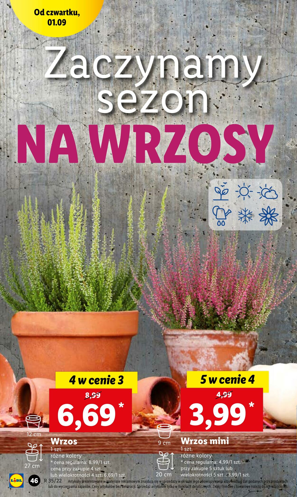 Gazetka Lidl 01.09.2022 - 03.09.2022