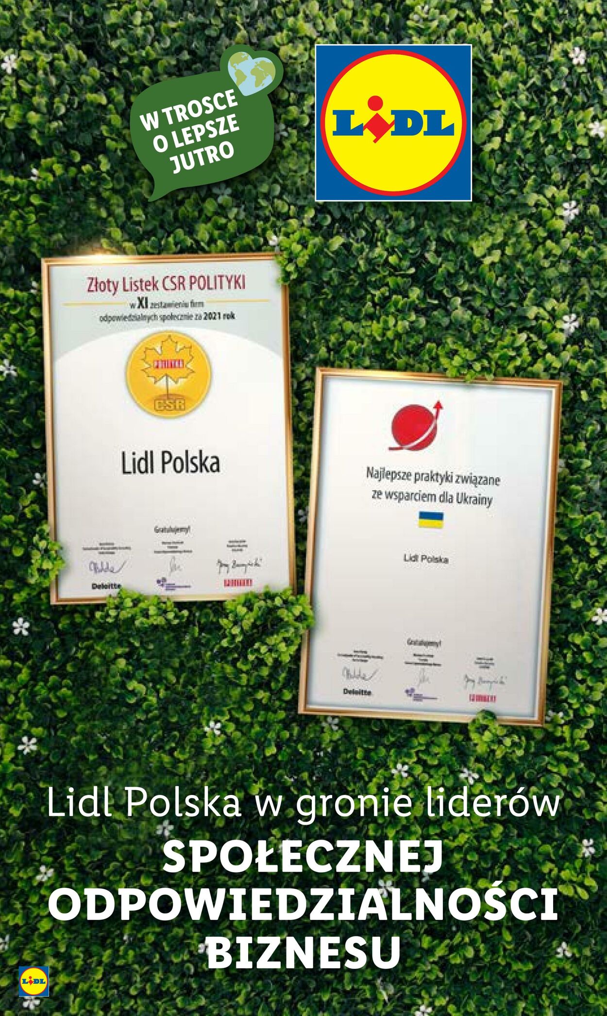 Gazetka Lidl 02.01.2023 - 07.01.2023