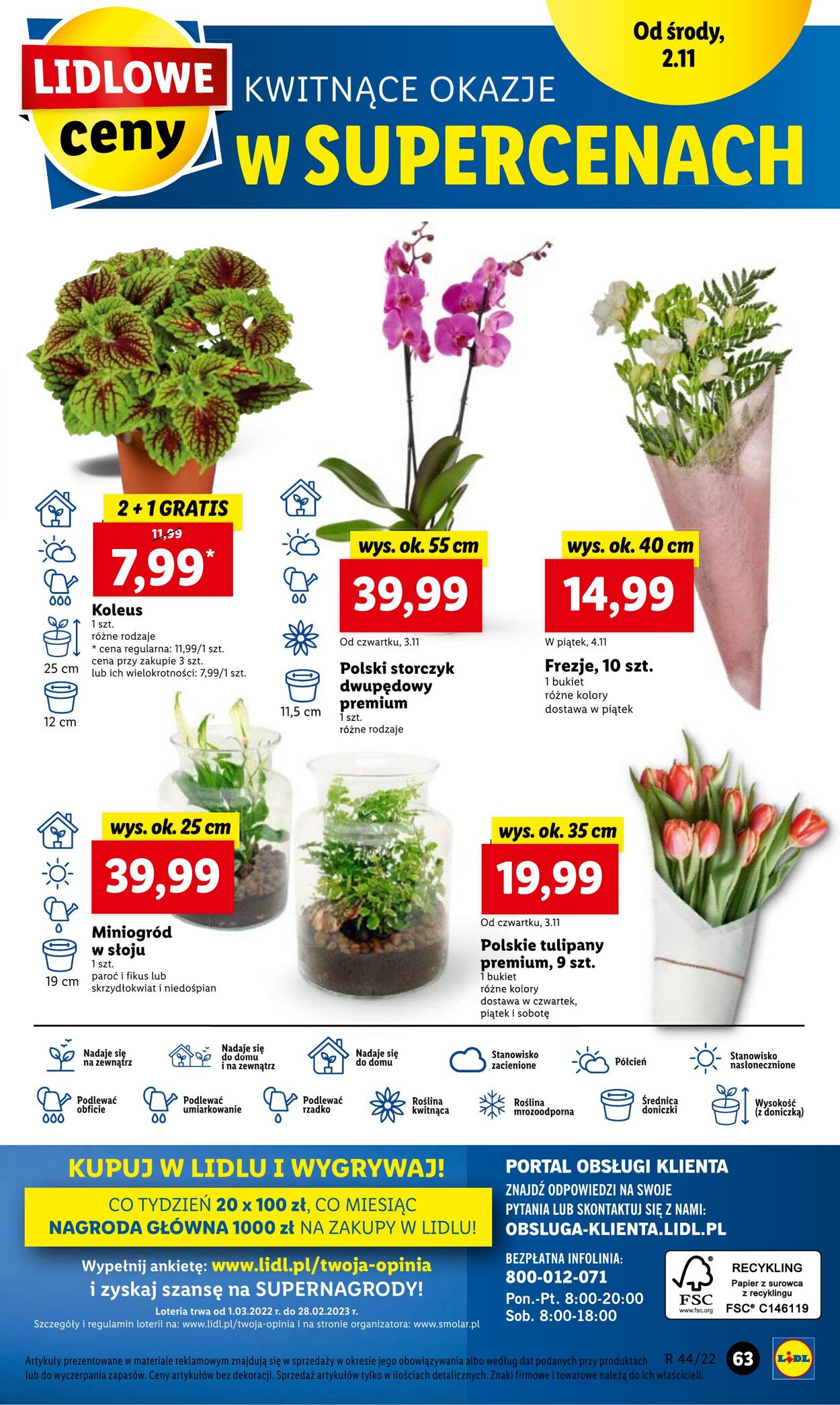 Gazetka Lidl 02.11.2022 - 05.11.2022