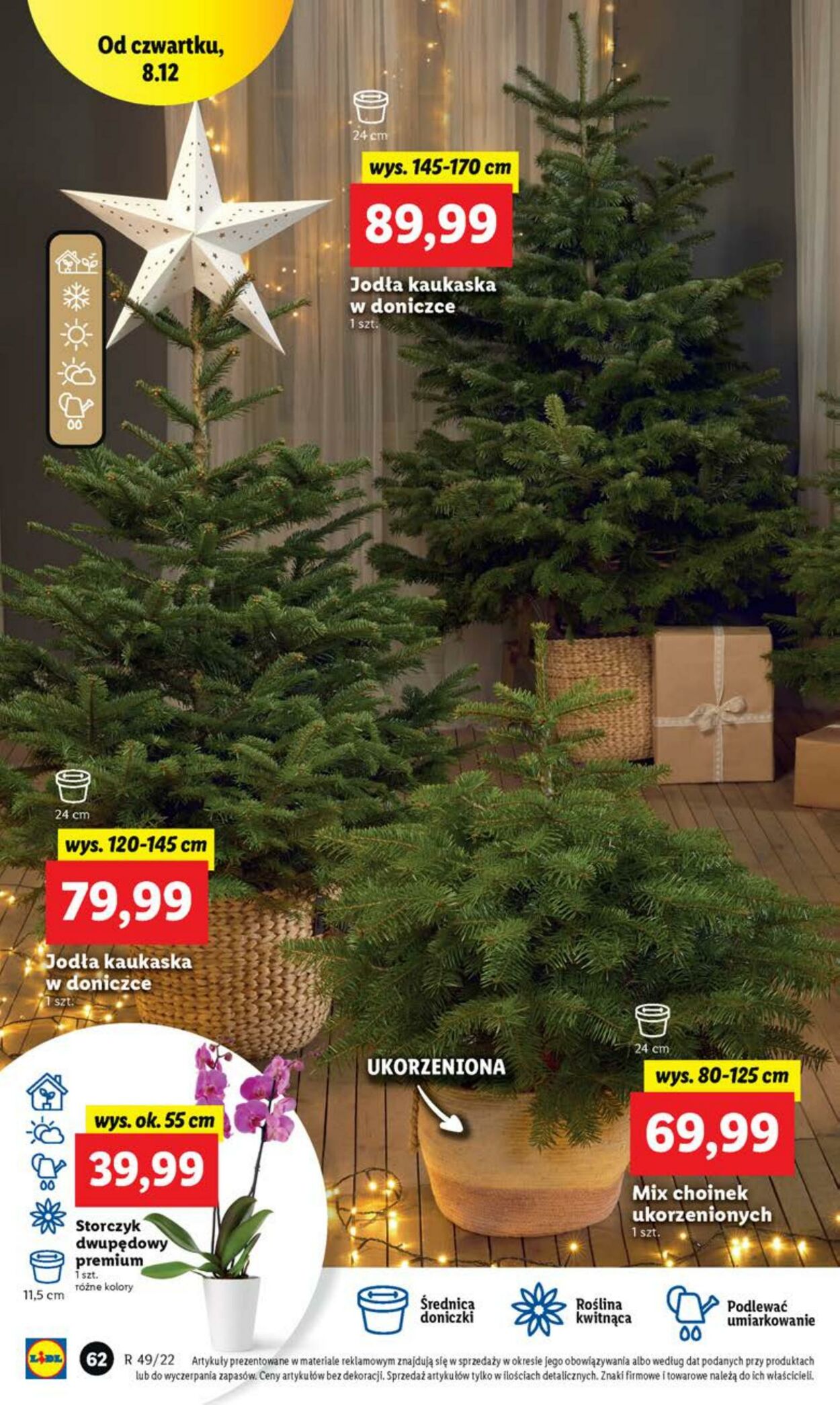 Gazetka Lidl 07.12.2022 - 11.12.2022