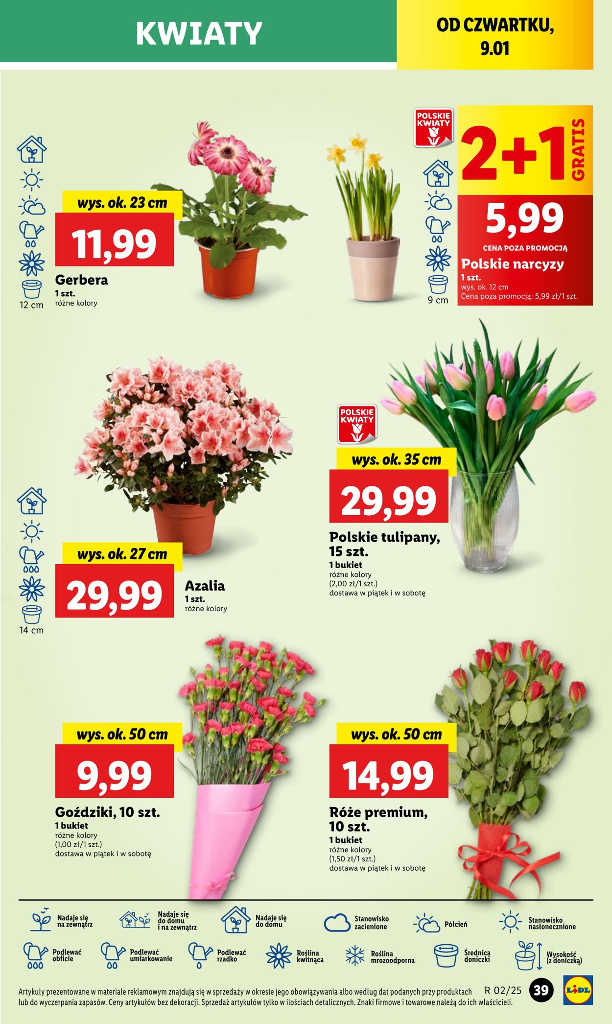 Gazetka Lidl 09.01.2025 - 11.01.2025