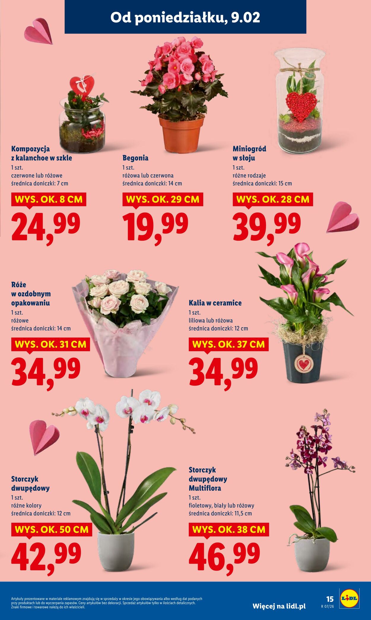 Gazetka Lidl 09.02.2026 - 11.02.2026