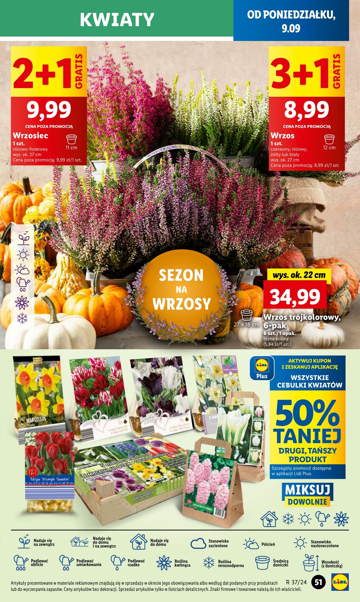 Gazetka Lidl 09.09.2024 - 11.09.2024